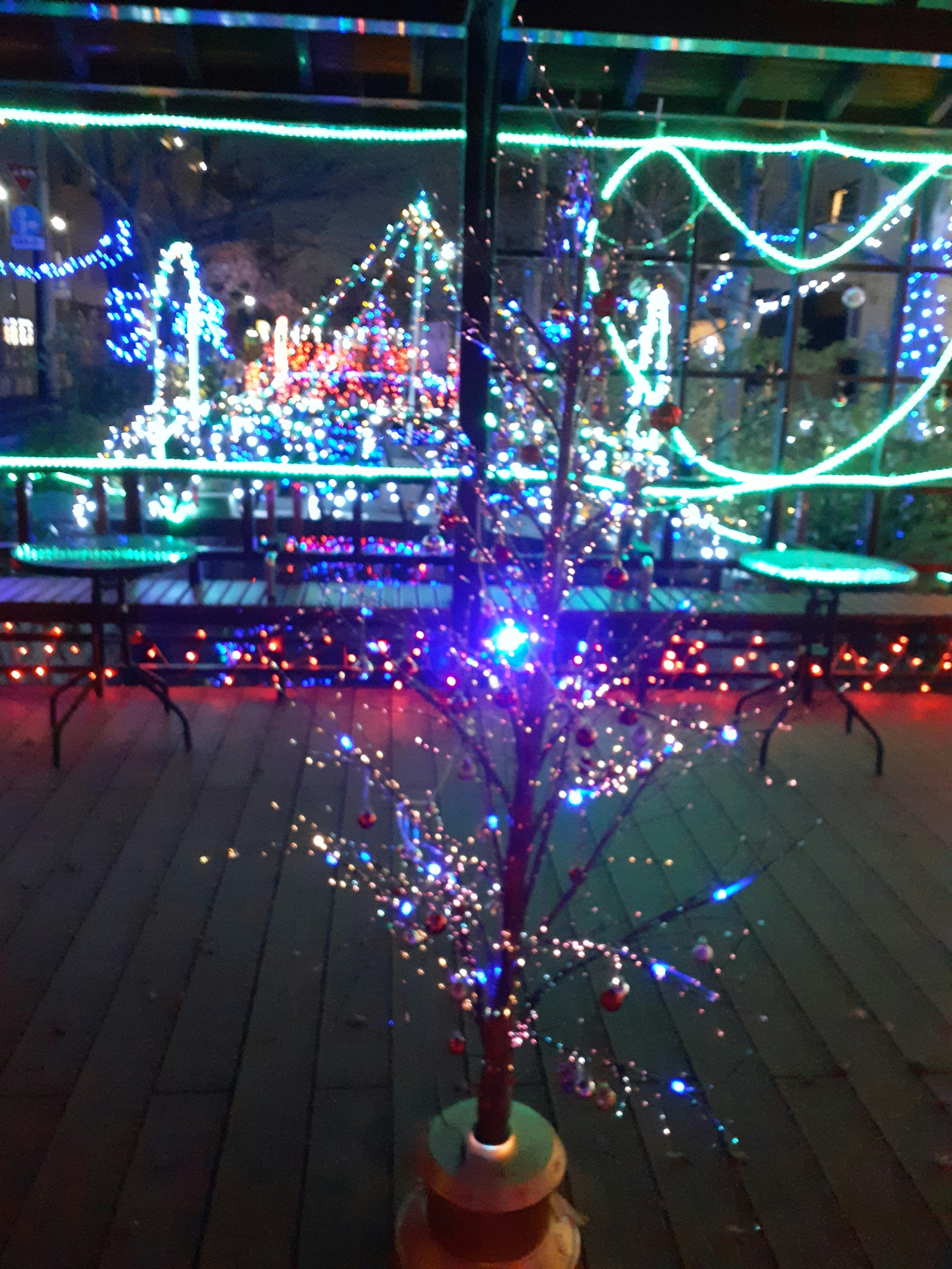 Kleiner leuchtender Baum umgeben von bunten Lichtern