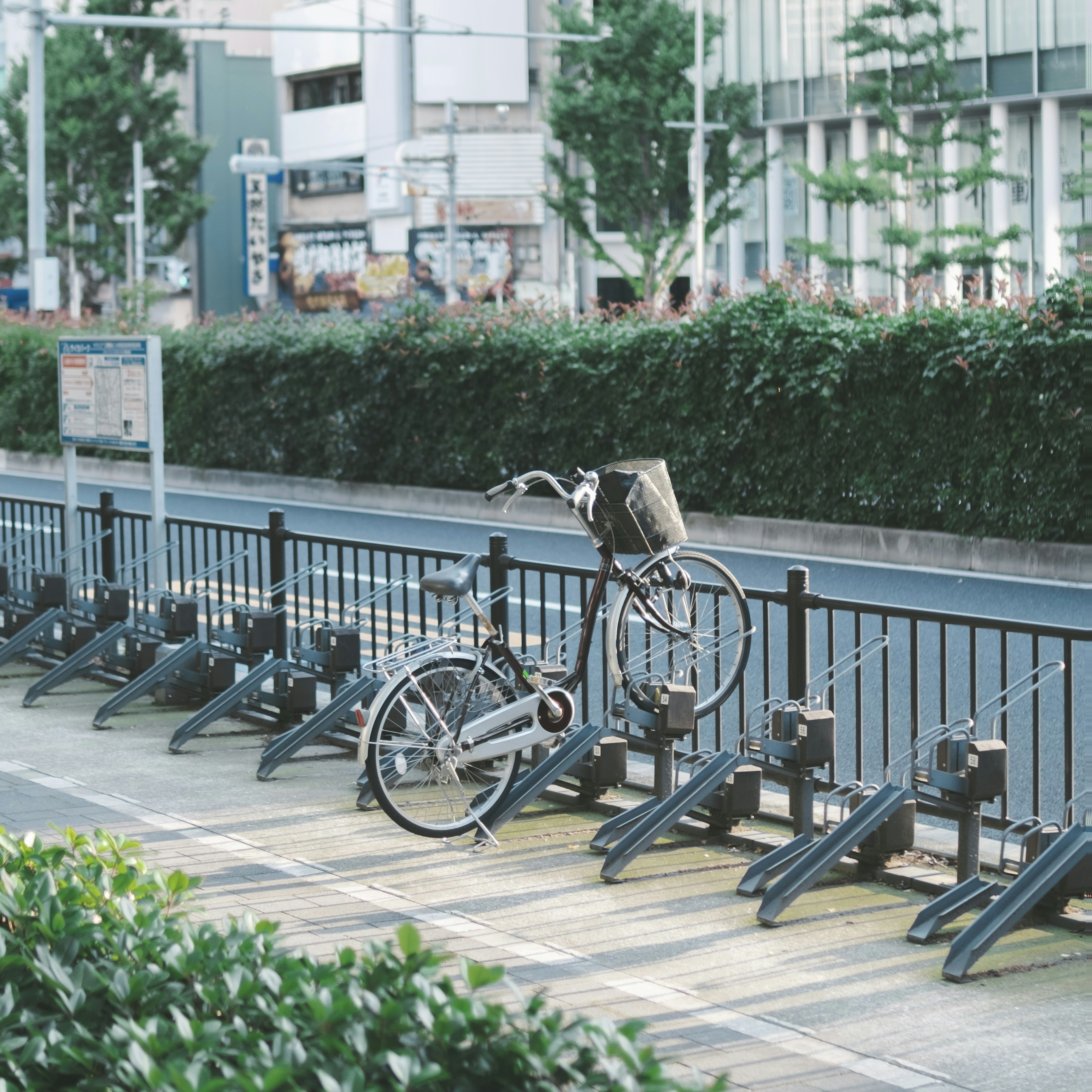 自転車が駐輪場に停まっている風景 緑の生垣と街の建物が背景