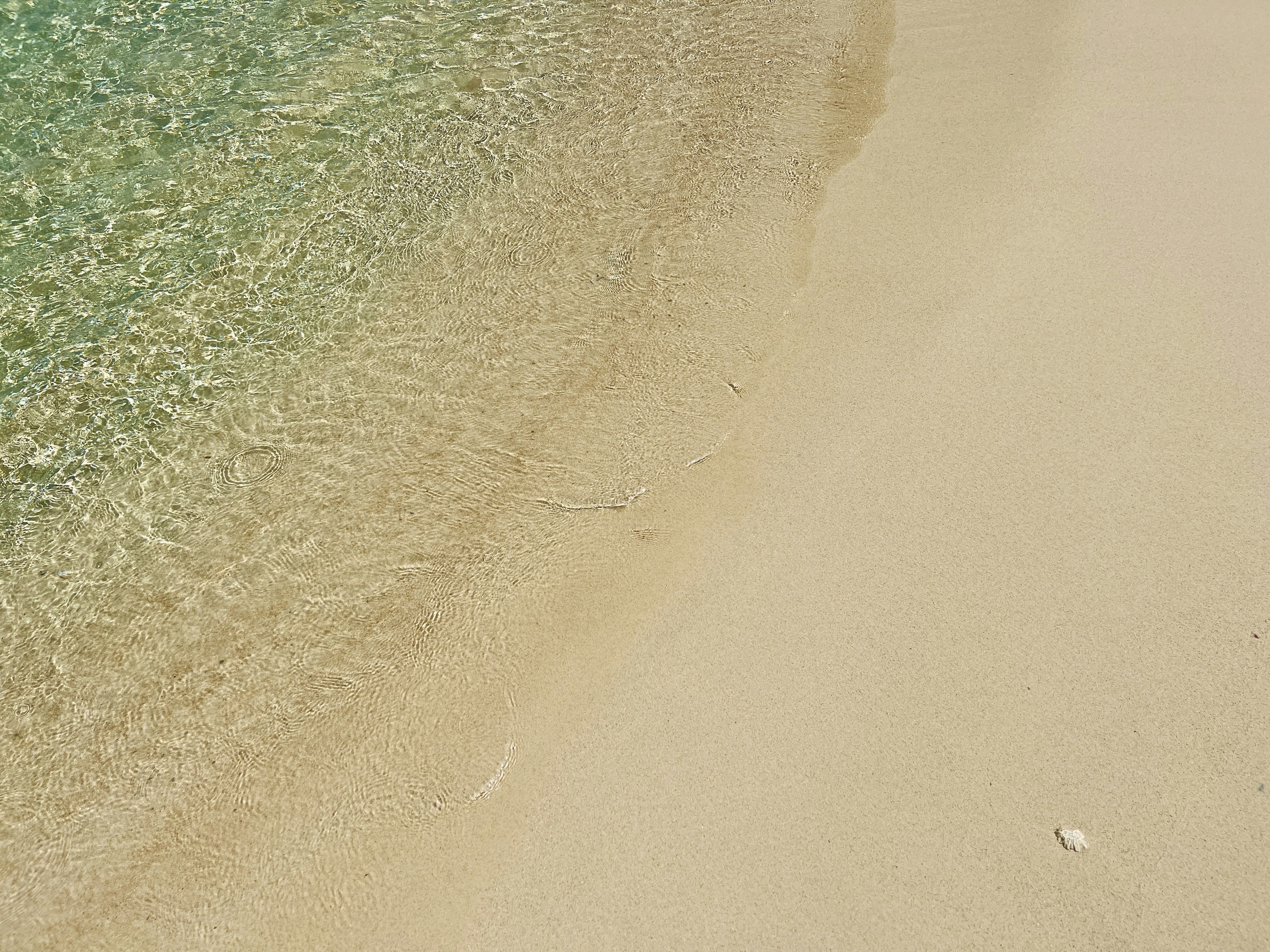 Eau claire de l'océan caressant doucement une plage de sable