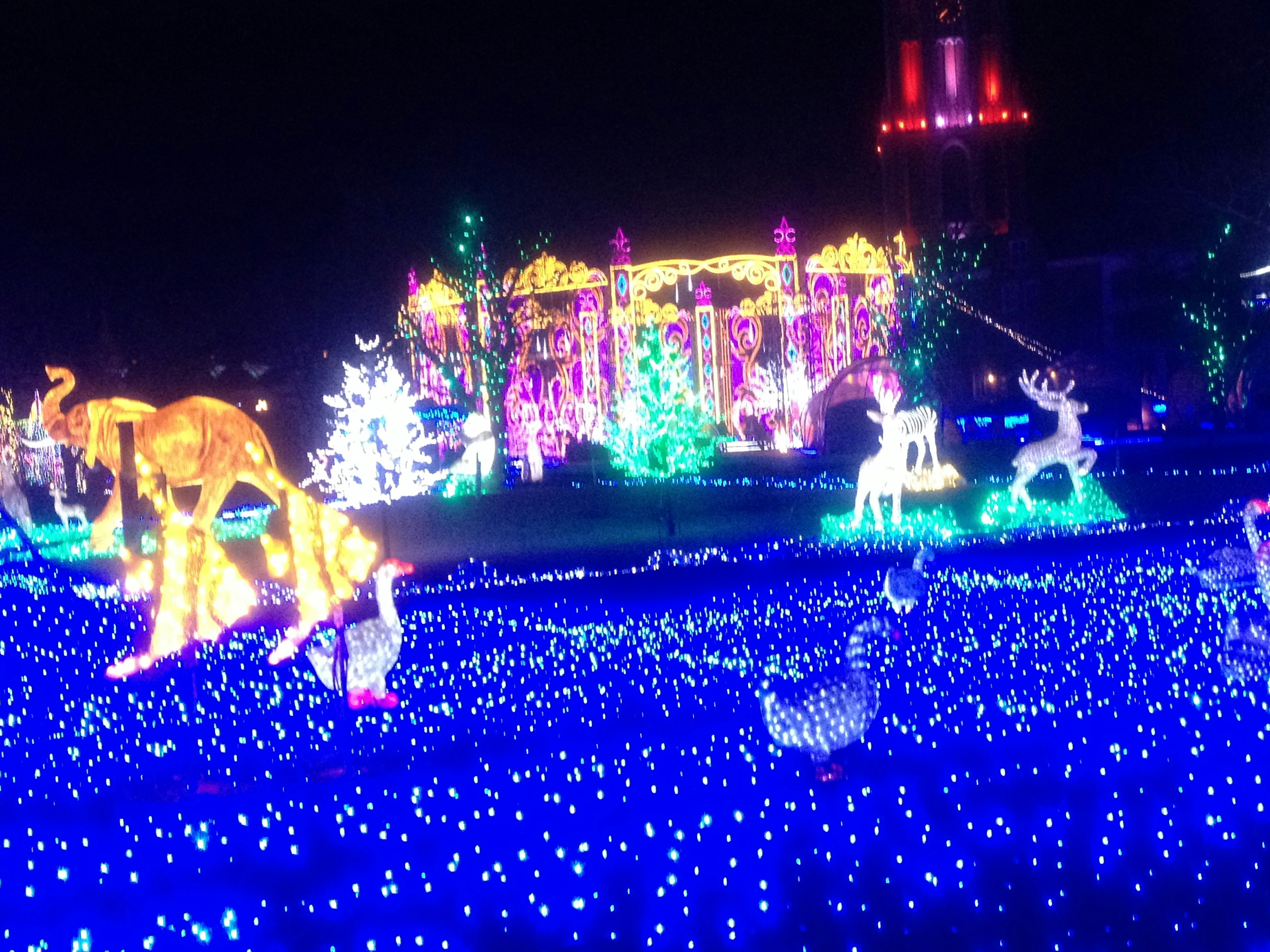 Scena di un parco illuminato colorato di notte con diverse esposizioni luminose di animali e un mare di luci blu