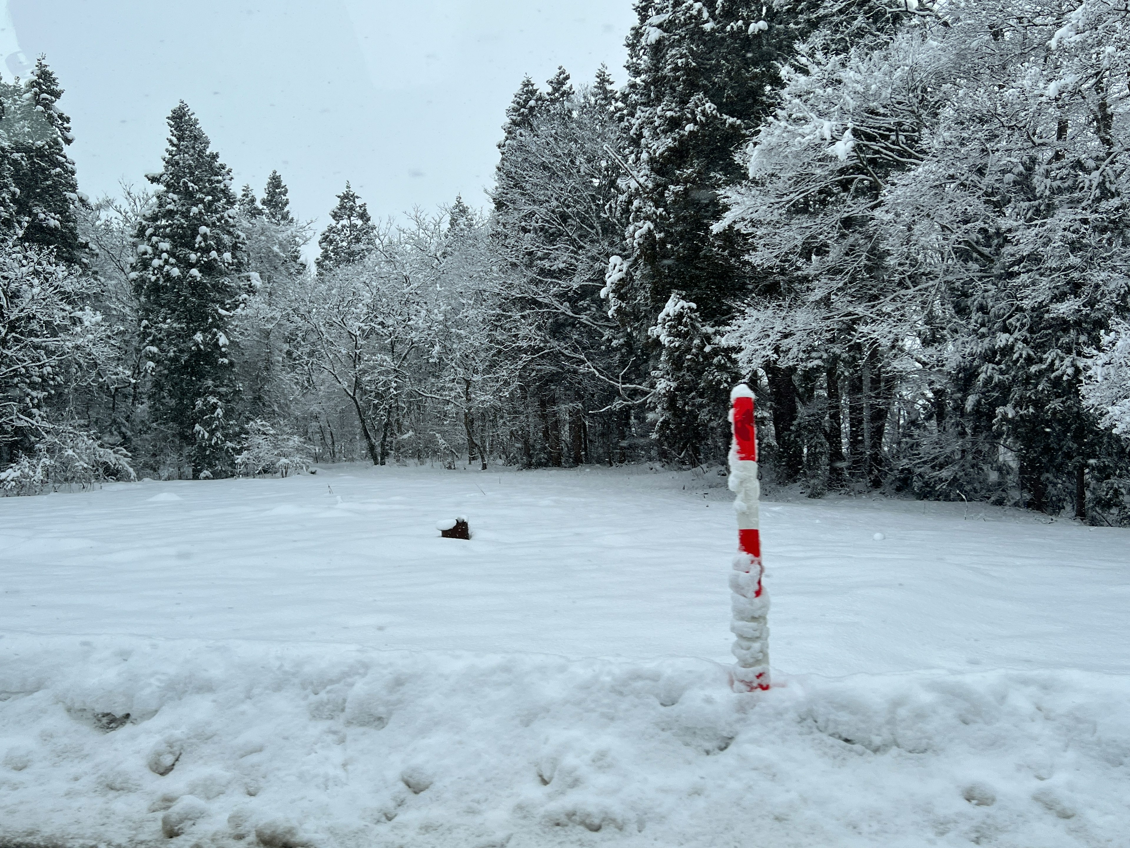 Paisaje forestal cubierto de nieve con un poste rojo y blanco