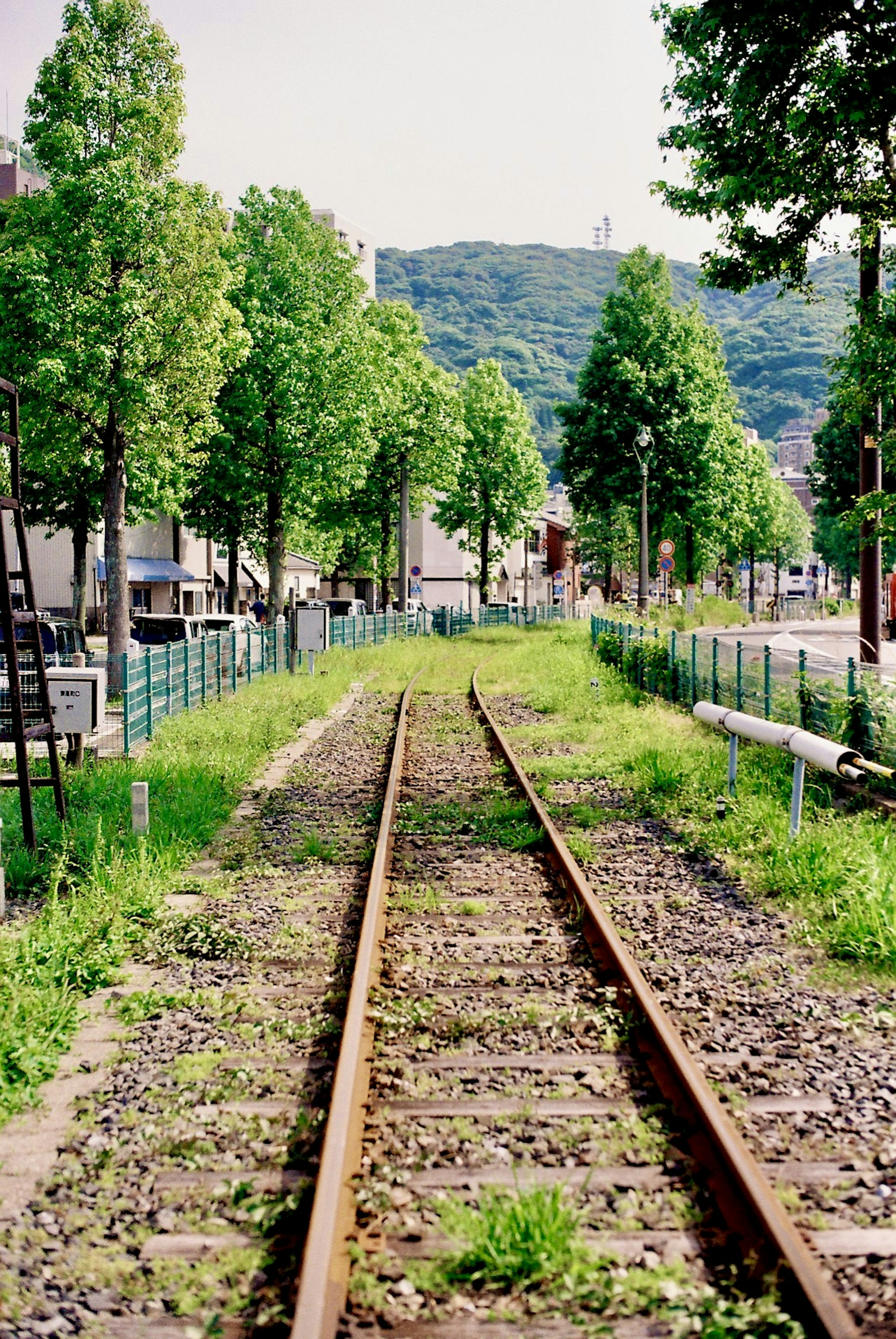 緑の木々に囲まれた鉄道の線路の風景