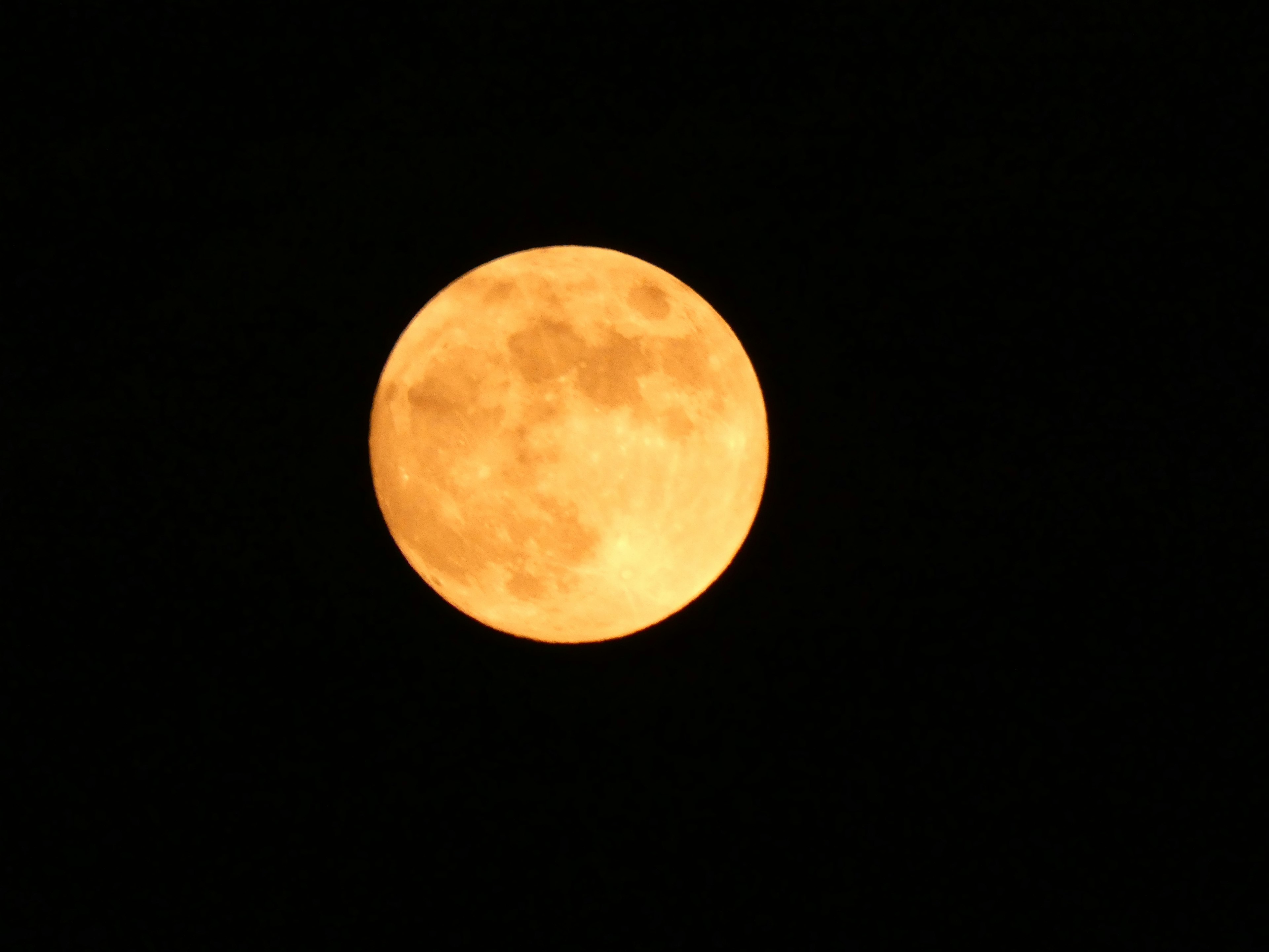 A vibrant orange full moon glowing in a dark night sky