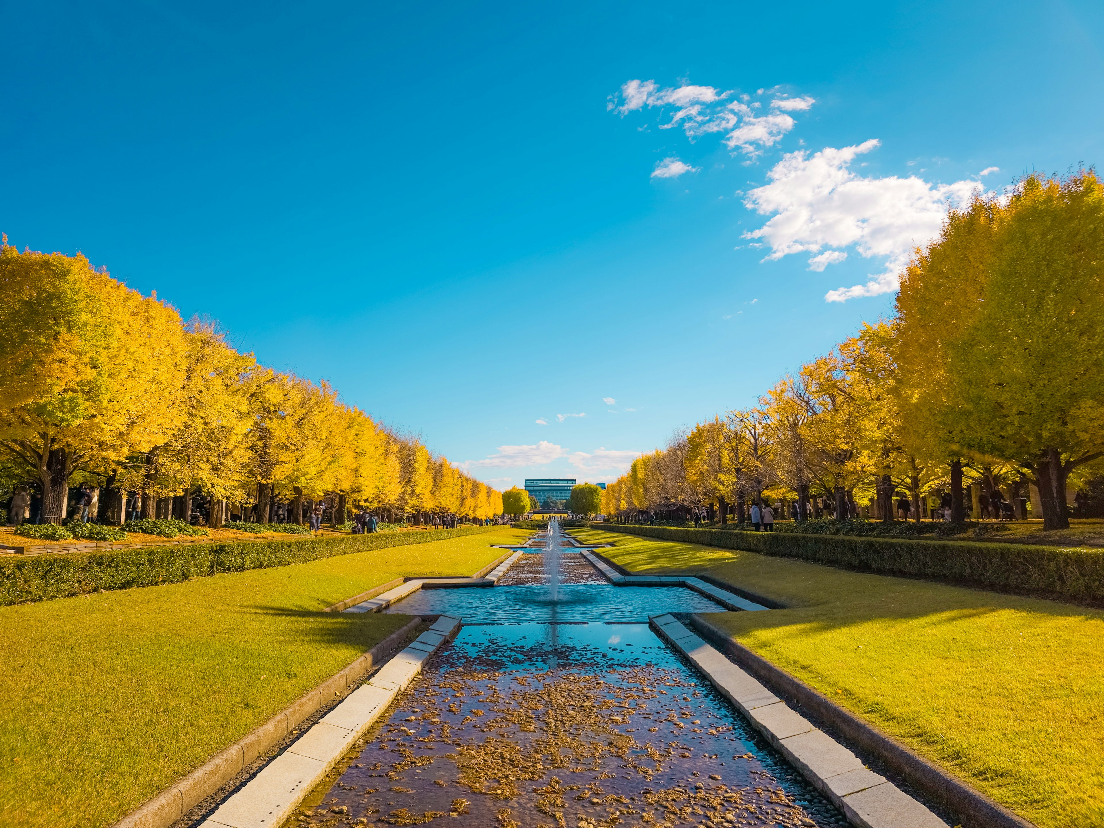 Belle scène de parc d'automne avec des arbres dorés et un ciel bleu avec un ruisseau central