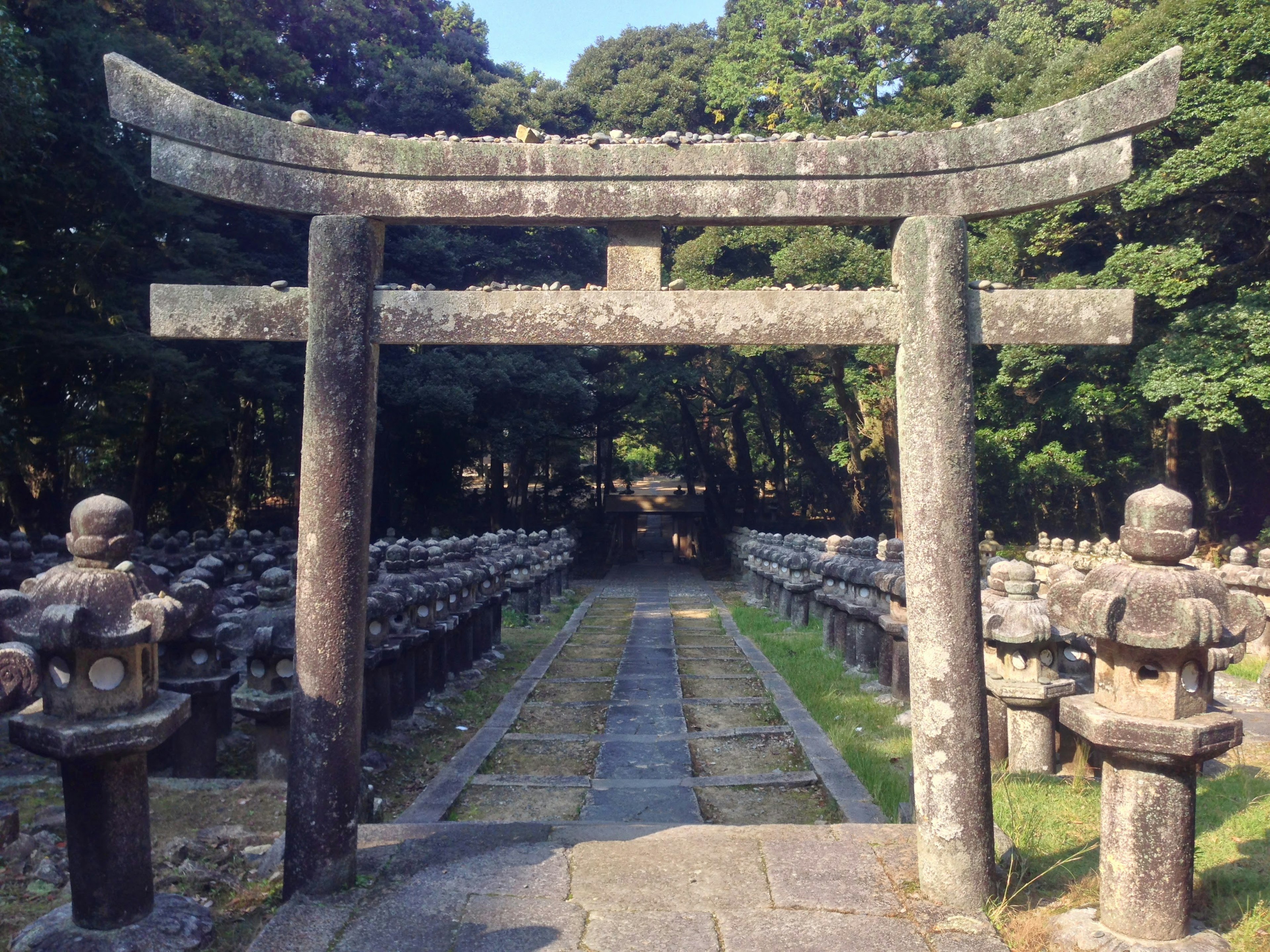 Puerta torii de piedra con faroles a lo largo del camino en un santuario histórico