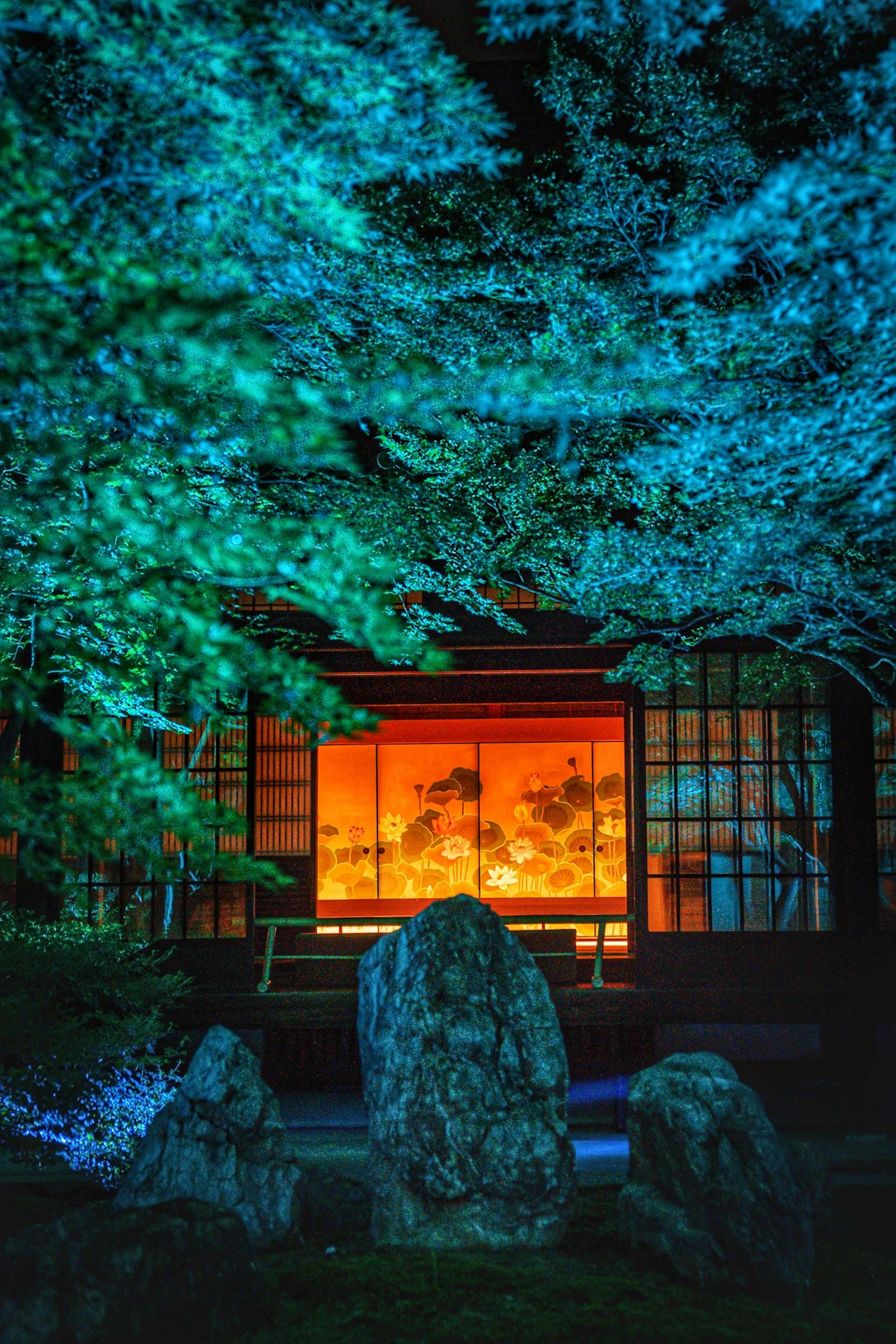 Japanese-style house illuminated at night surrounded by blue trees