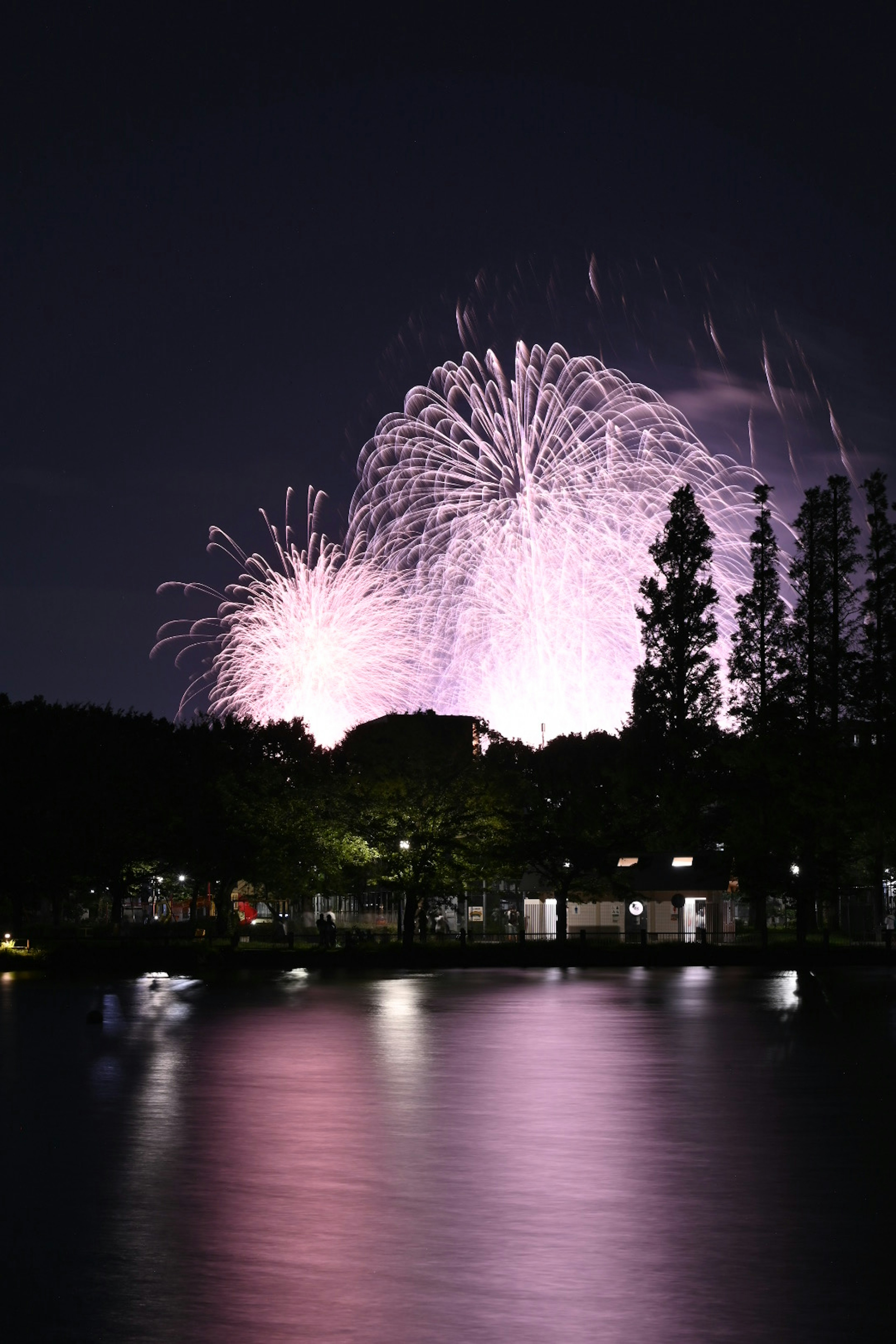 夜空に広がる花火と水面に映る光の反射