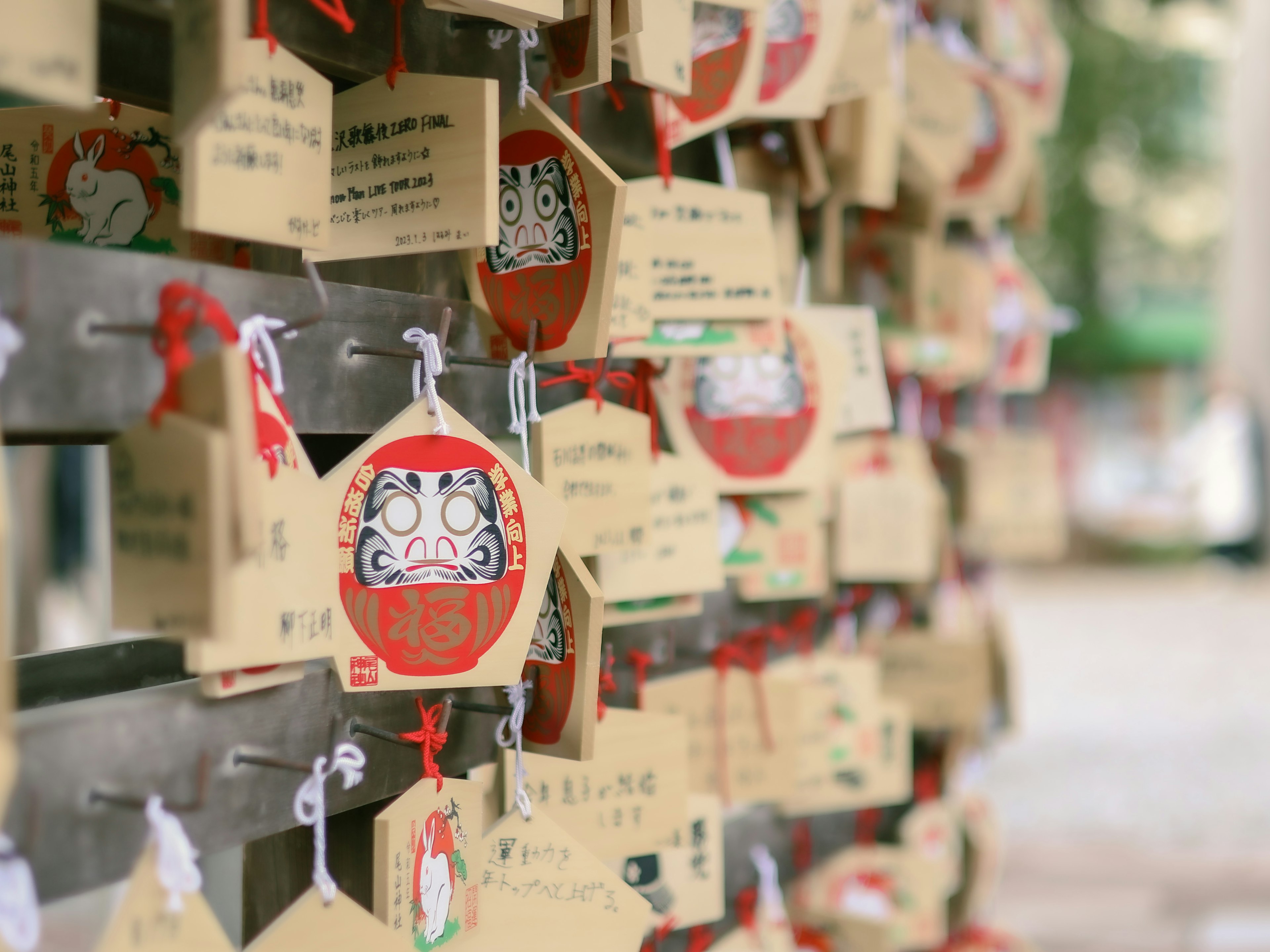 Pared de madera adornada con numerosos ema que presentan ilustraciones de daruma rojos