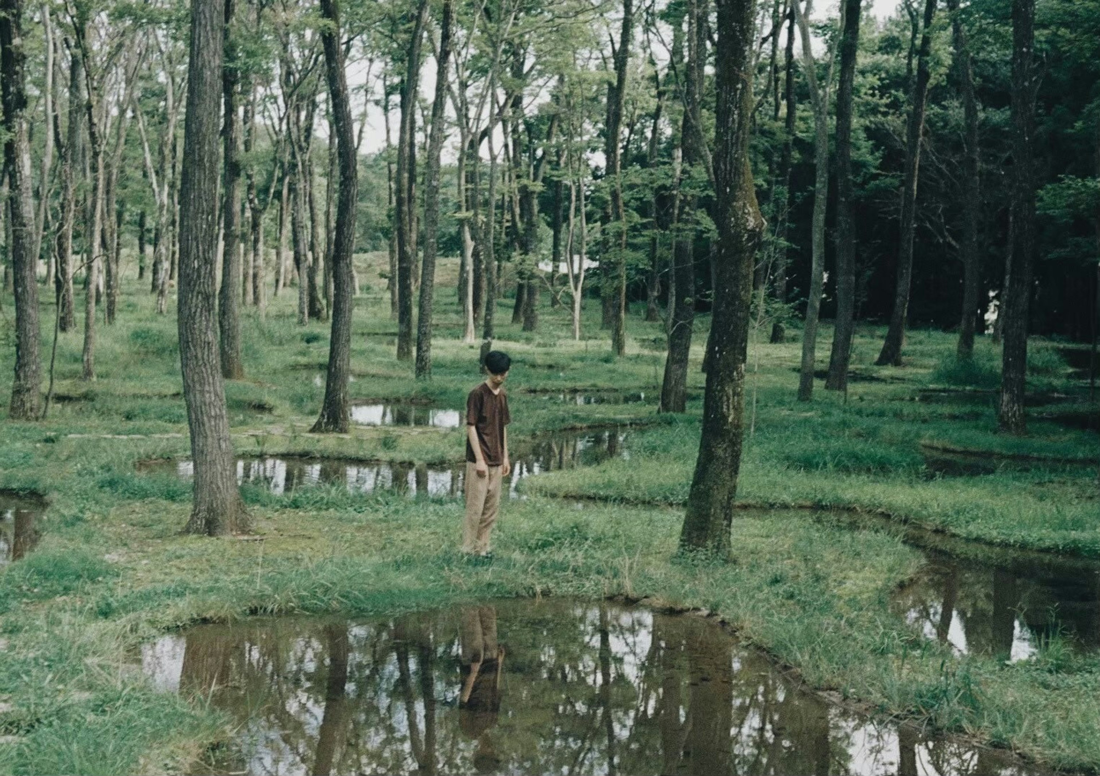 緑豊かな森の中に立つ人物と水たまりの風景