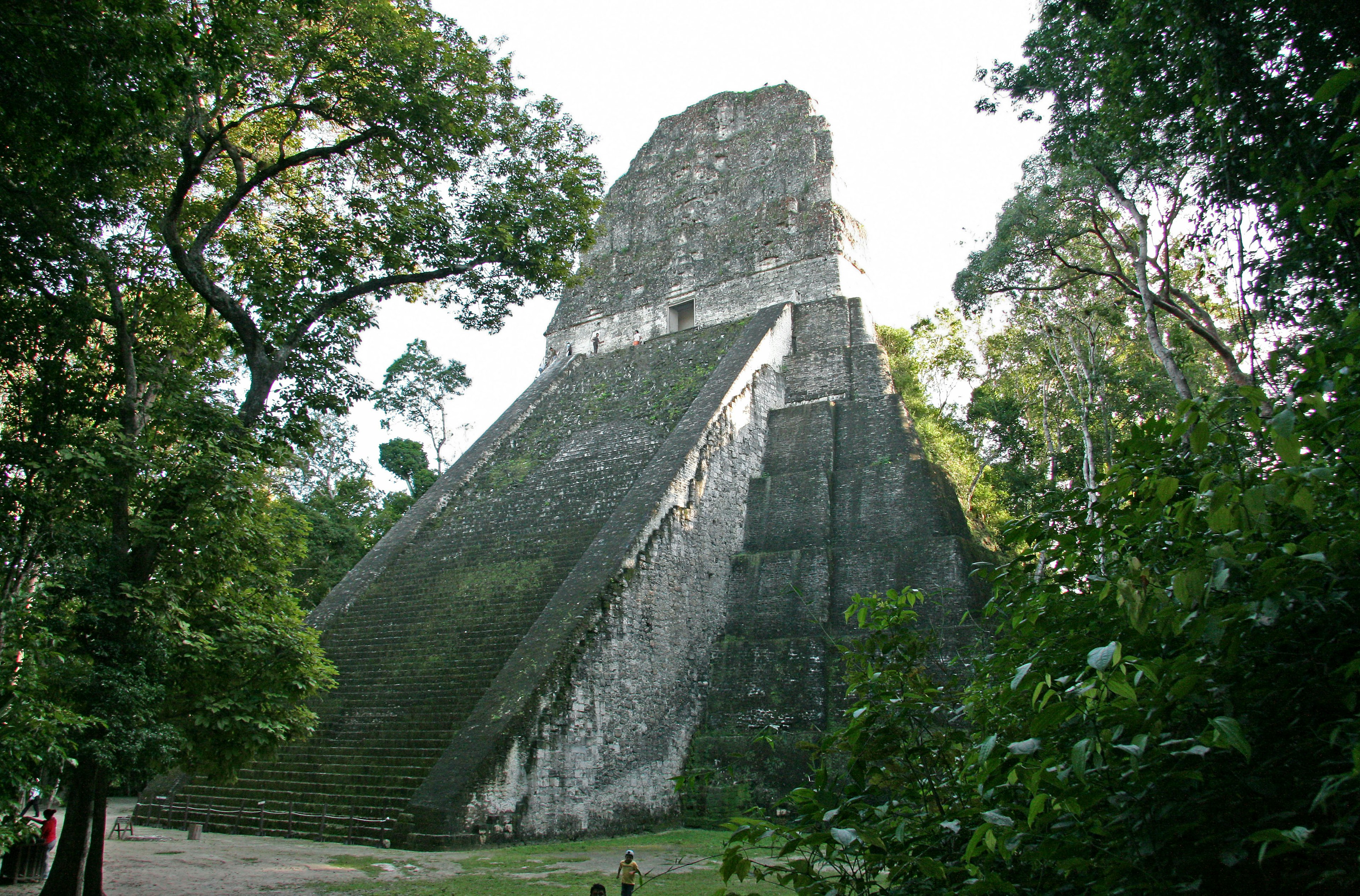 Piramide delle rovine di Tikal che svetta in una lussureggiante foresta verde