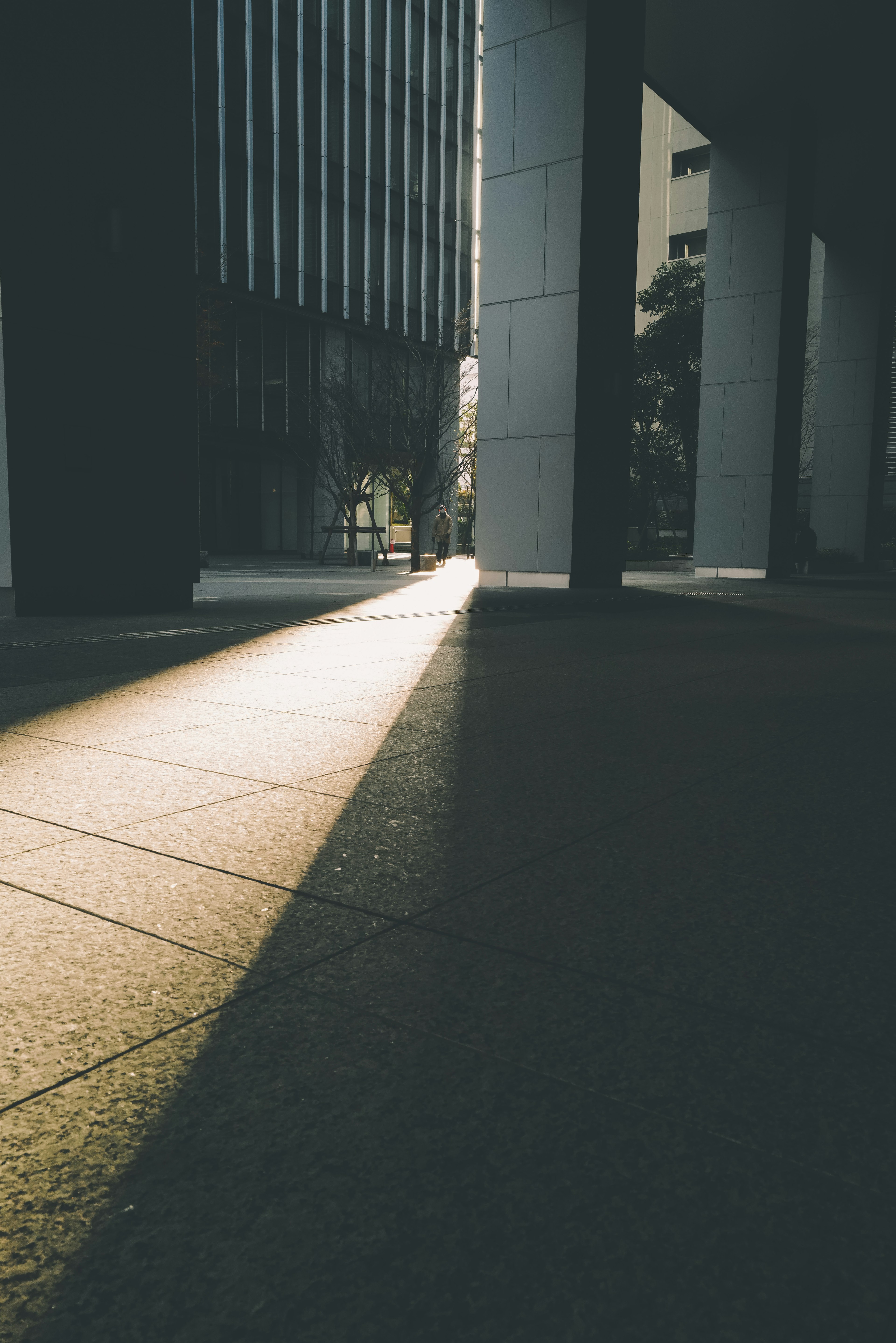 Escena urbana con luz del sol proyectando sombras en el suelo entre edificios