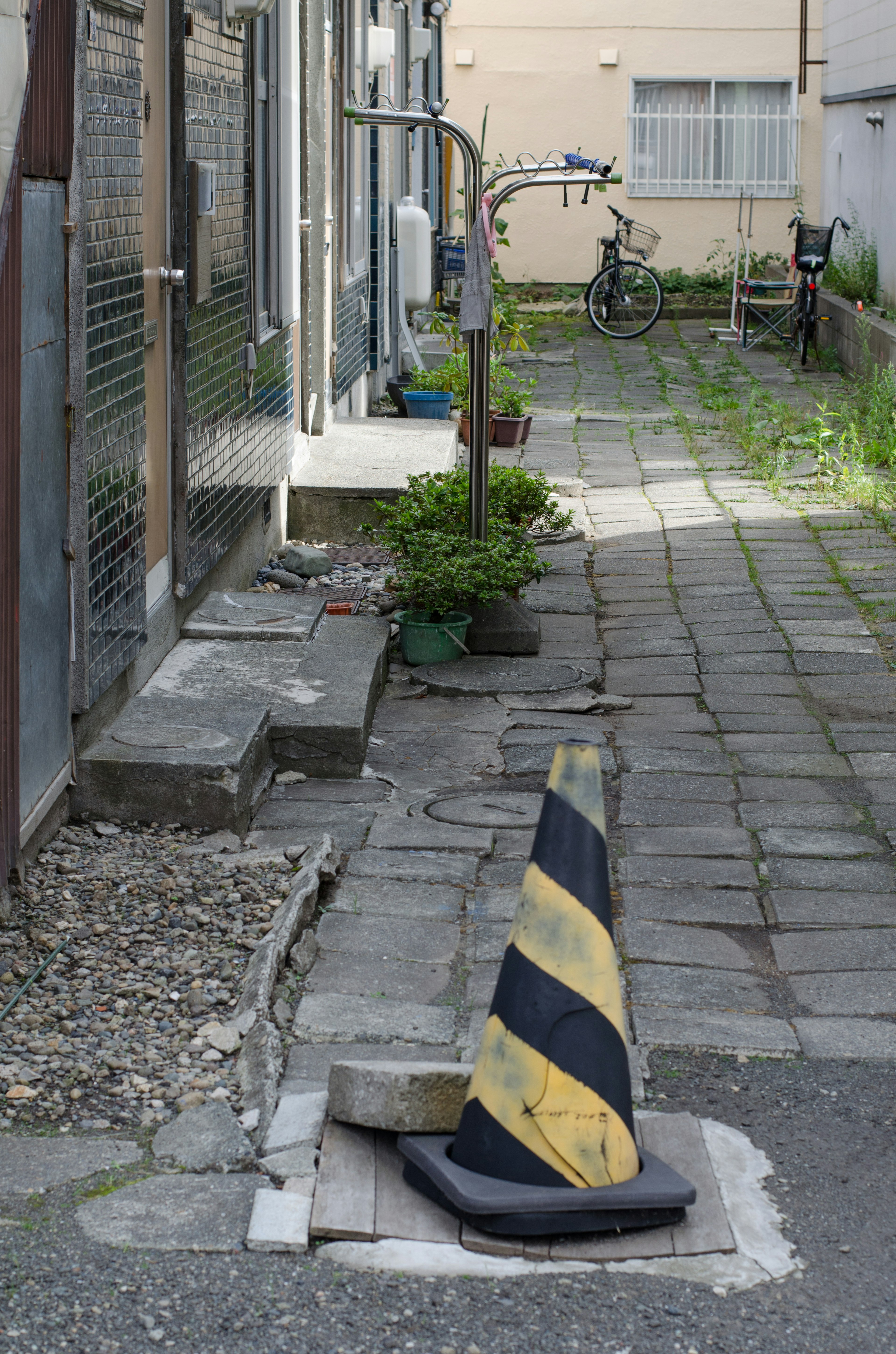 Allée étroite avec un cône de circulation noir et jaune et des plantes