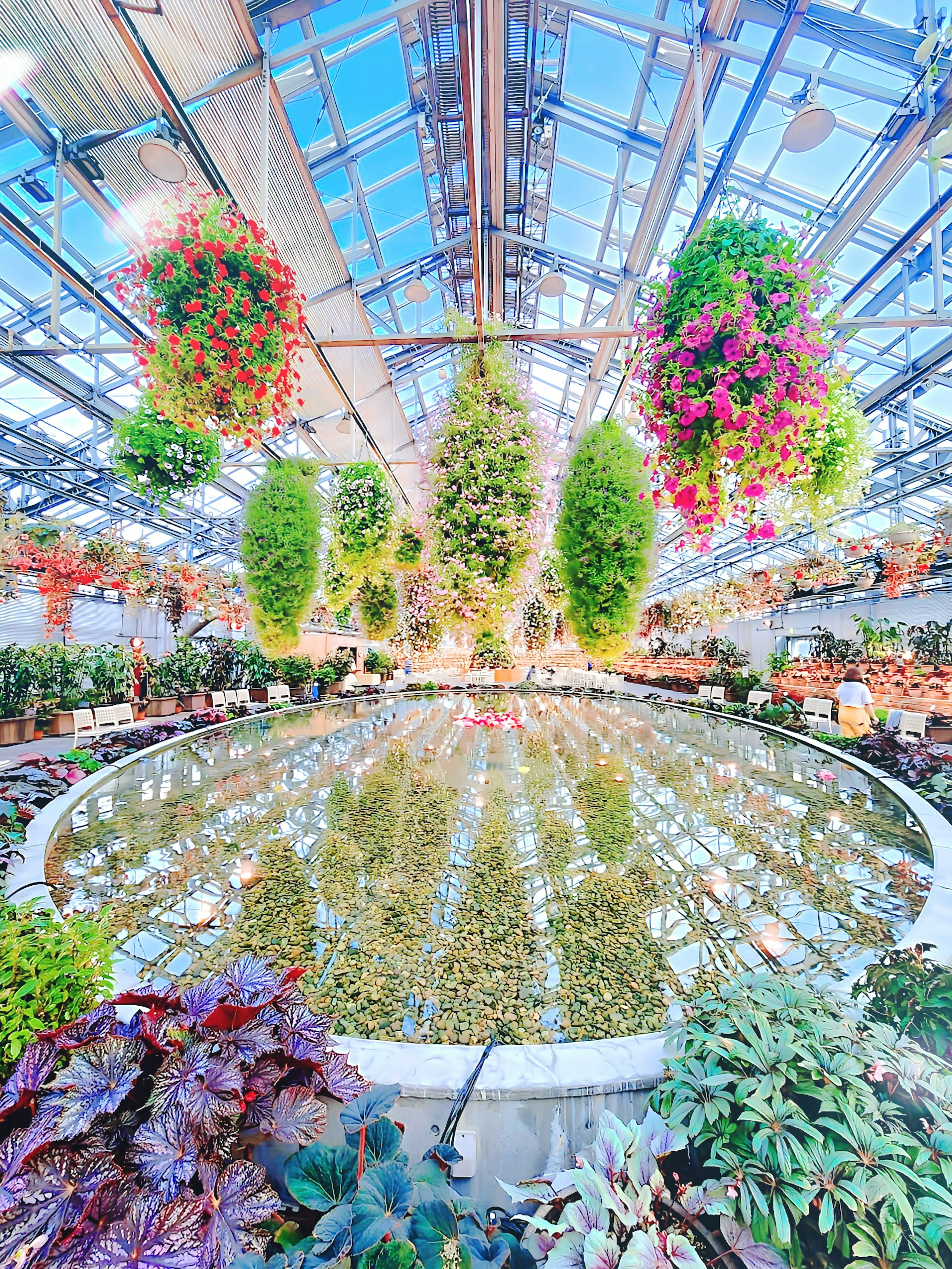 Intérieur d'une serre avec des plantes luxuriantes fleurs suspendues vibrantes et une surface d'eau réfléchissante