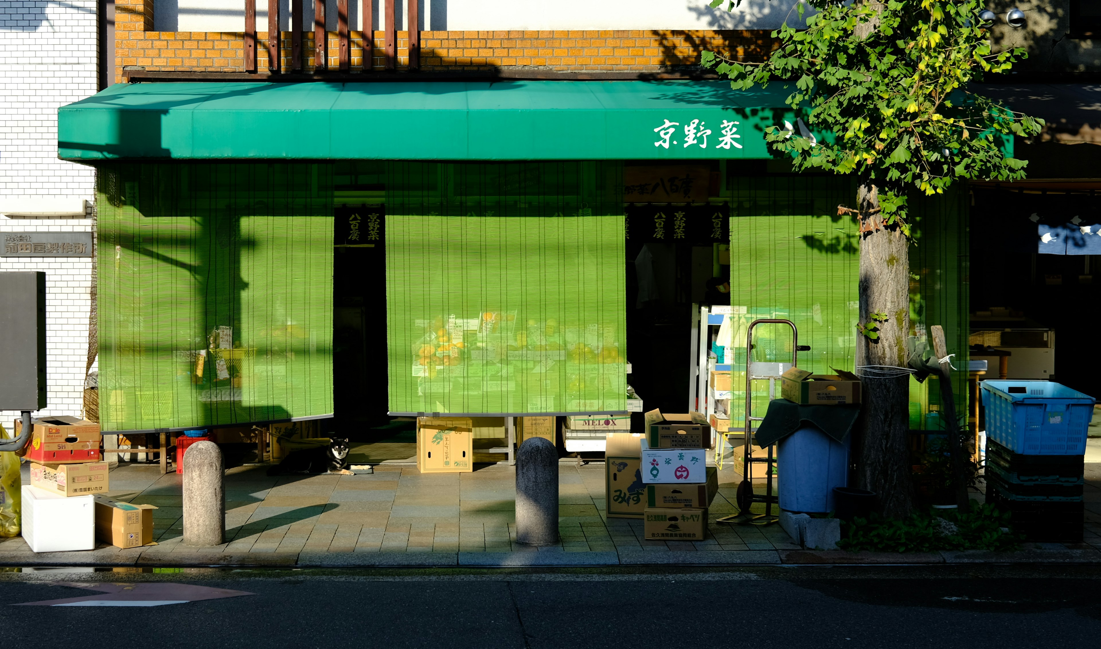 緑のカーテンがかかった店舗の外観と段ボール箱が並ぶ風景