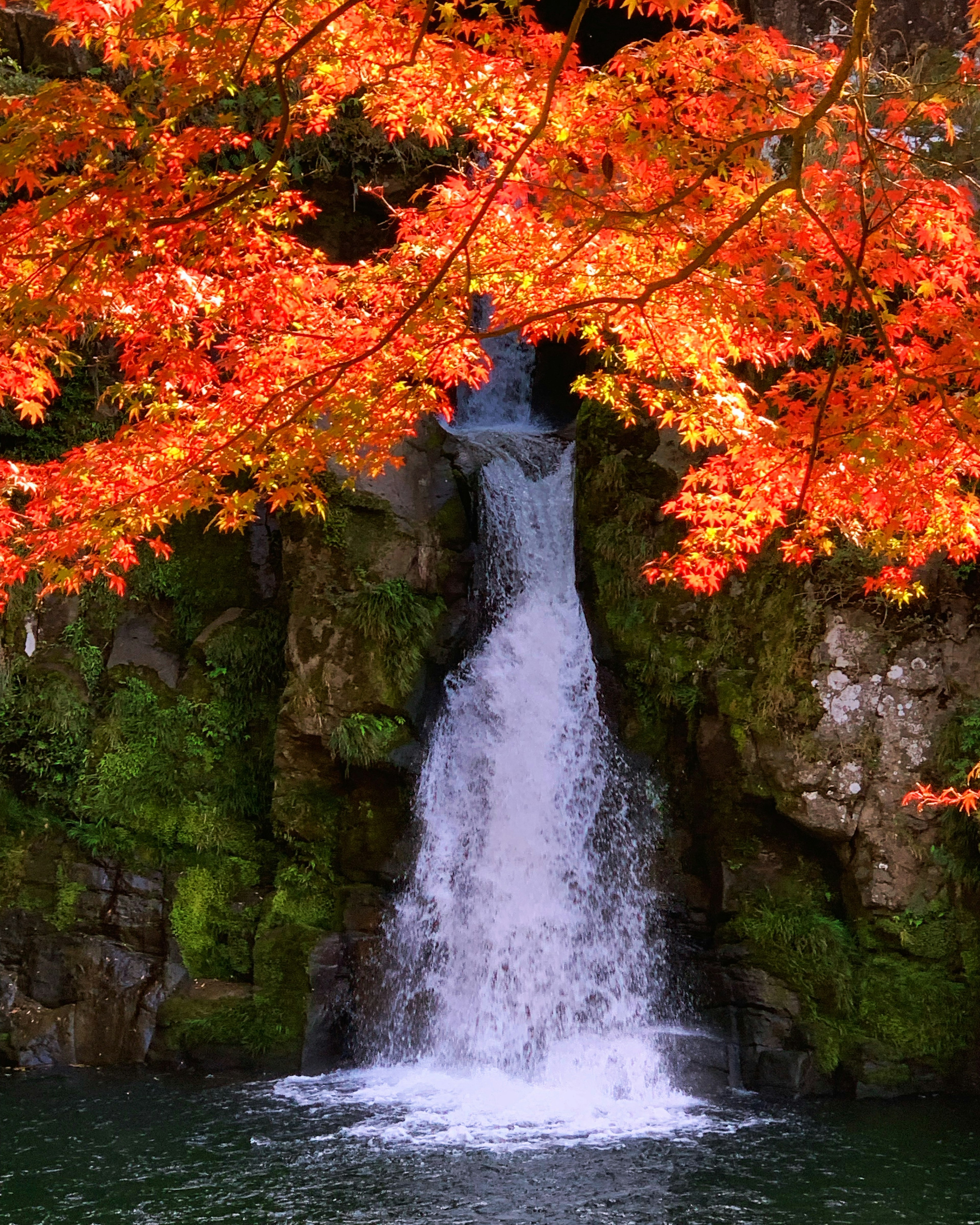 Cascade pittoresque entourée de feuilles d'automne vibrantes