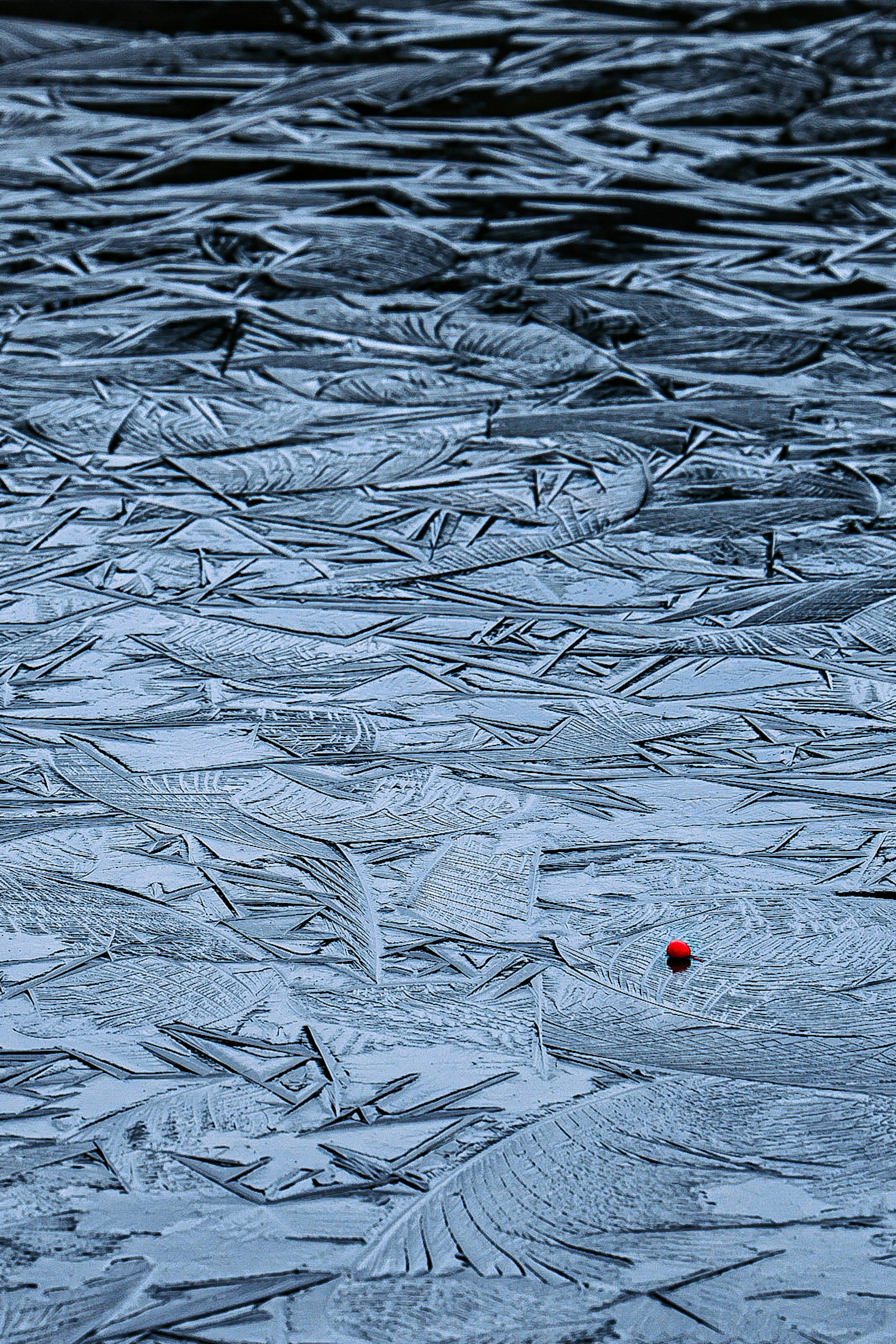 Superficie de agua fría con patrones de hielo y un punto rojo