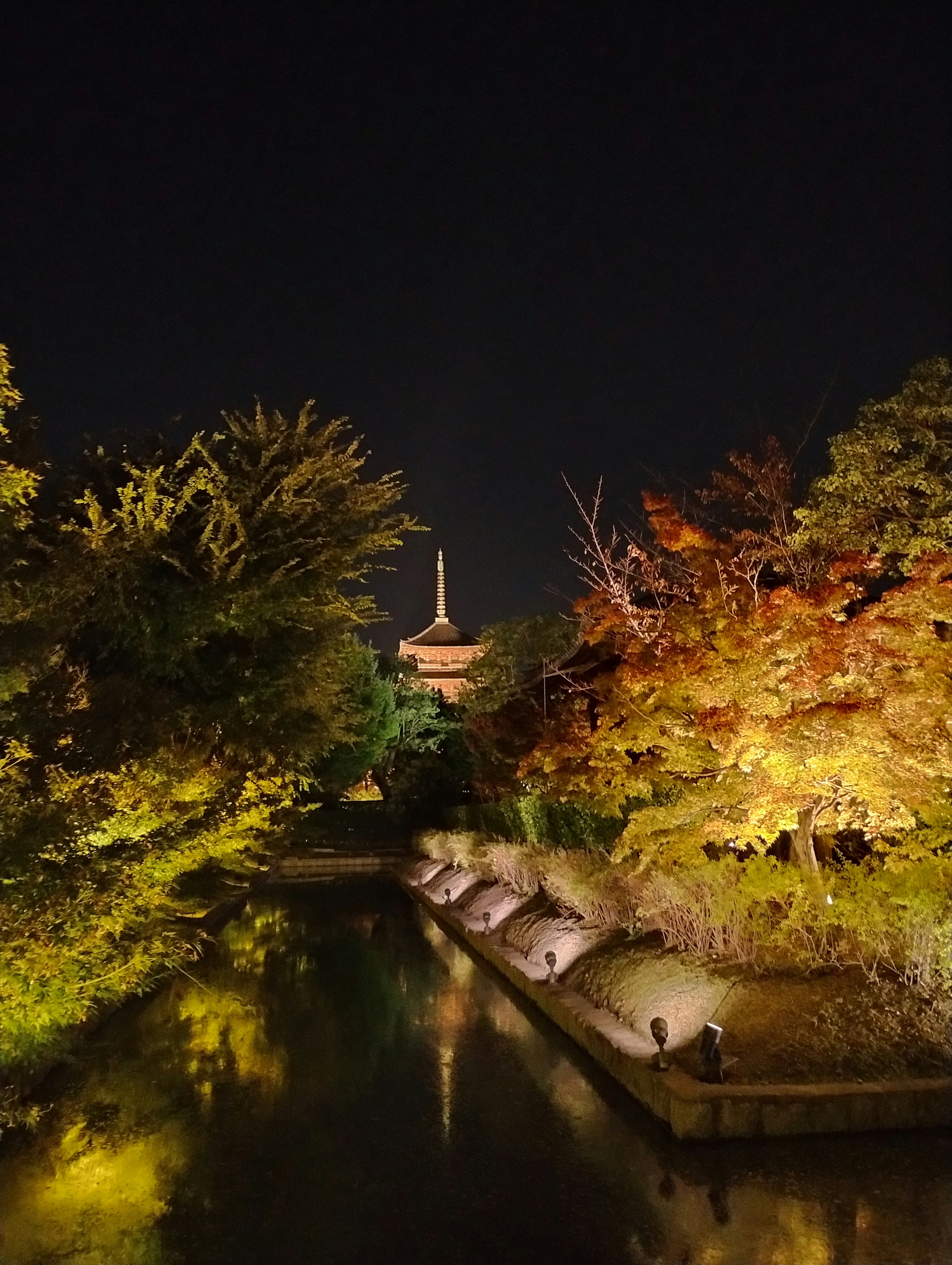 Night view of a river lined with colorful autumn trees and a calm water surface