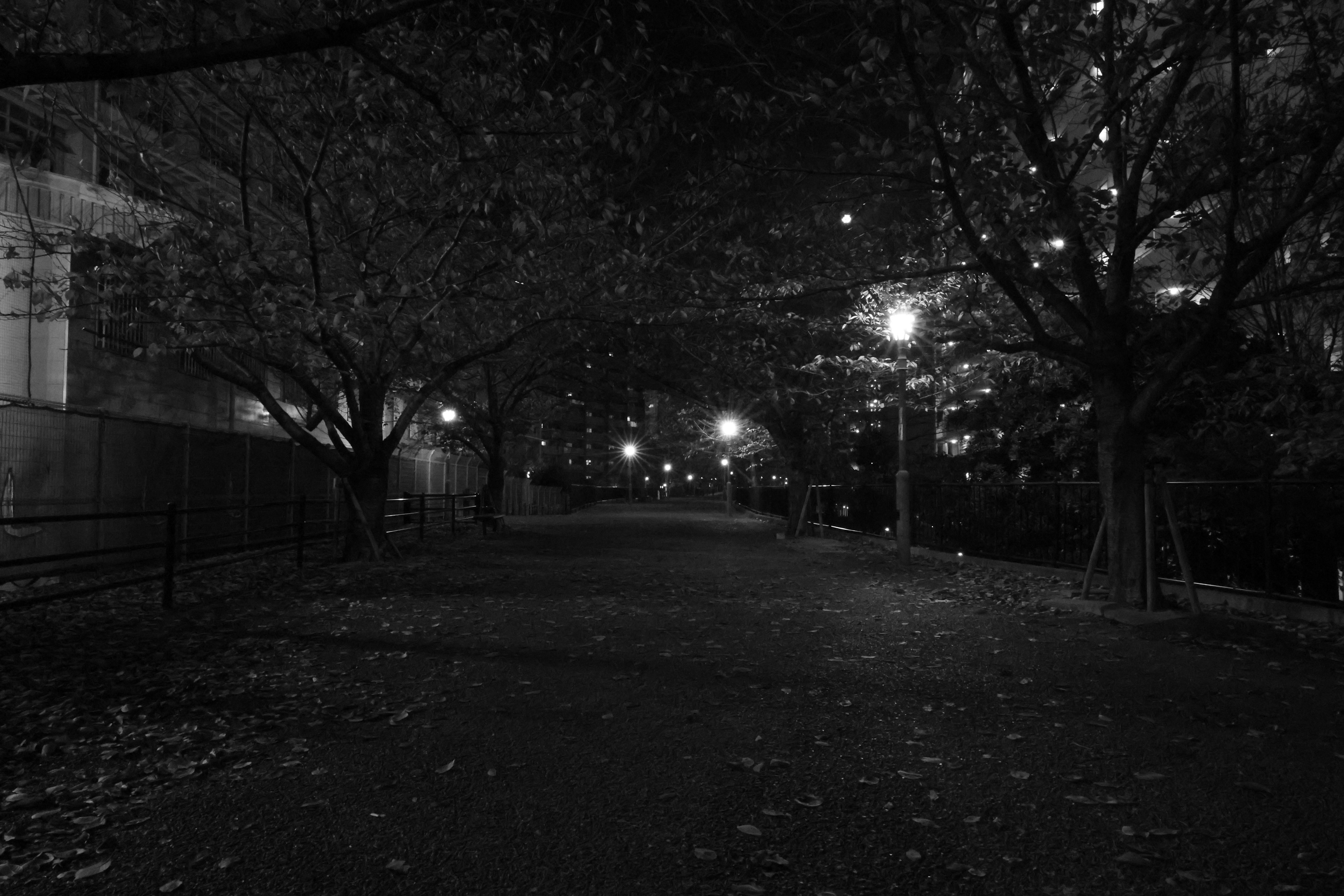 Quiet nighttime park path with glowing street lamps