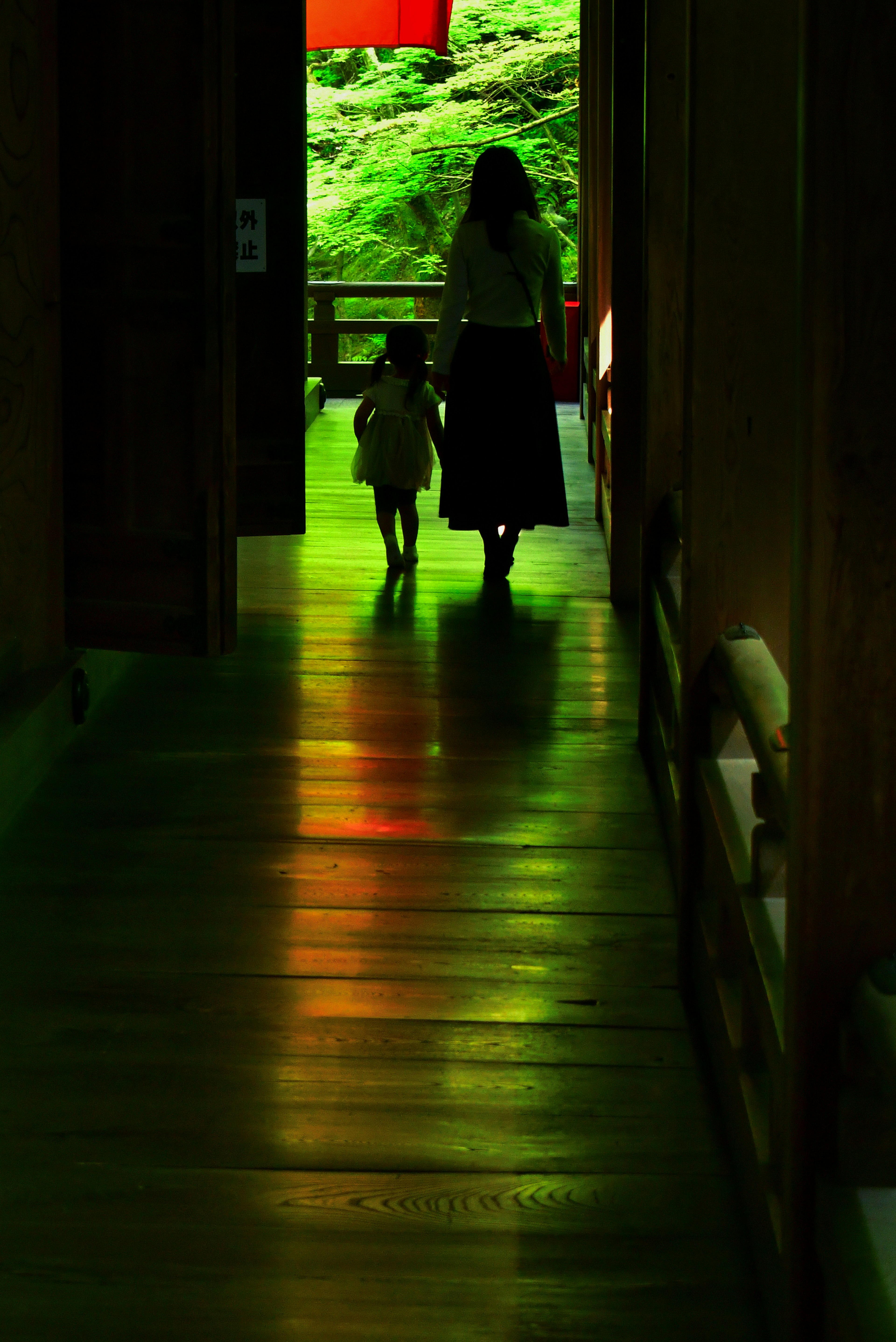 Silhouette di una donna e un cane che camminano lungo un corridoio con uno sfondo verde lussureggiante