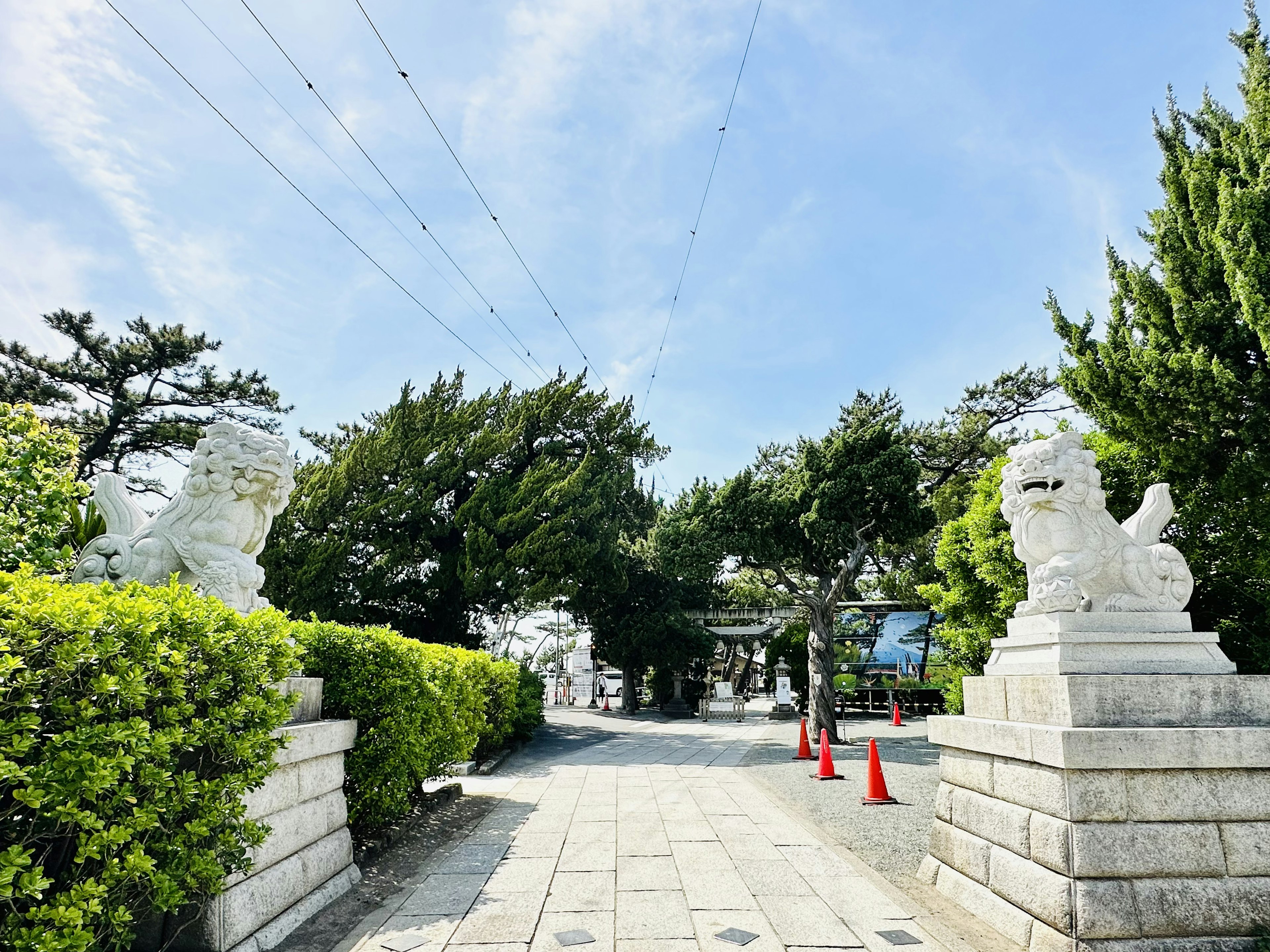 白い狛犬が立つ神社の入り口の風景 緑の木々と青空が広がる