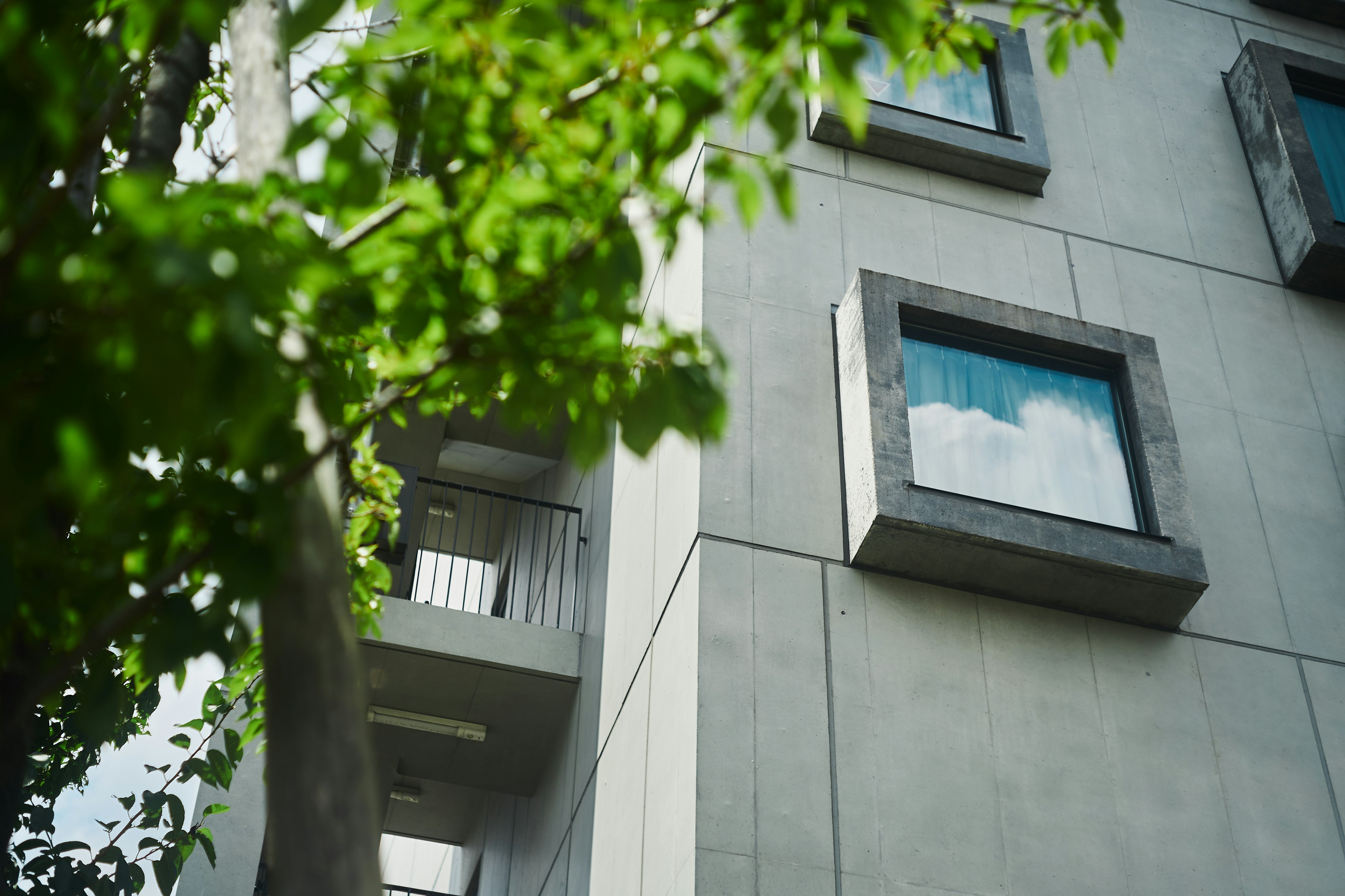 Concrete building with modern windows and green leaves