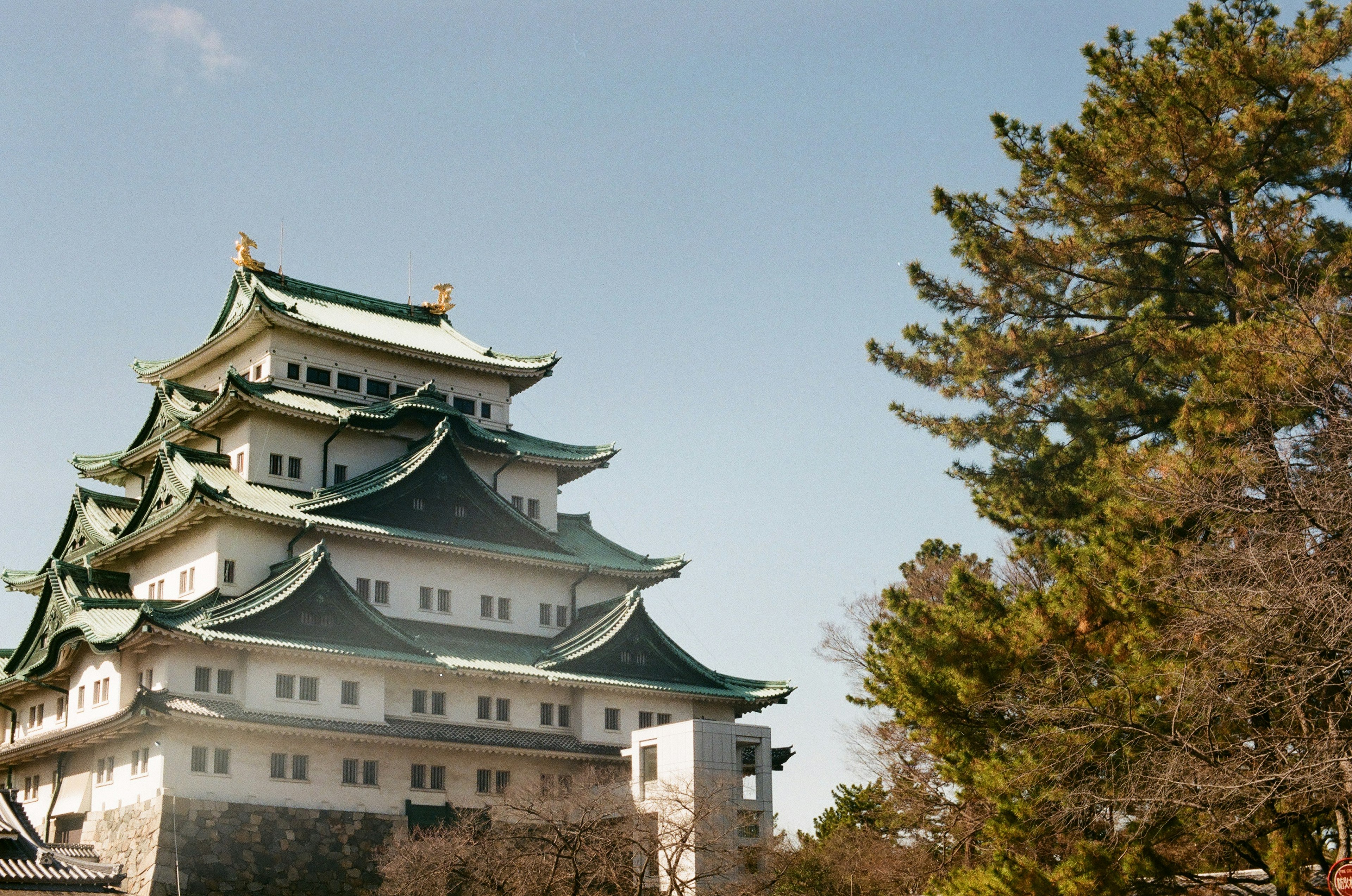 名古屋城の美しい外観と青空