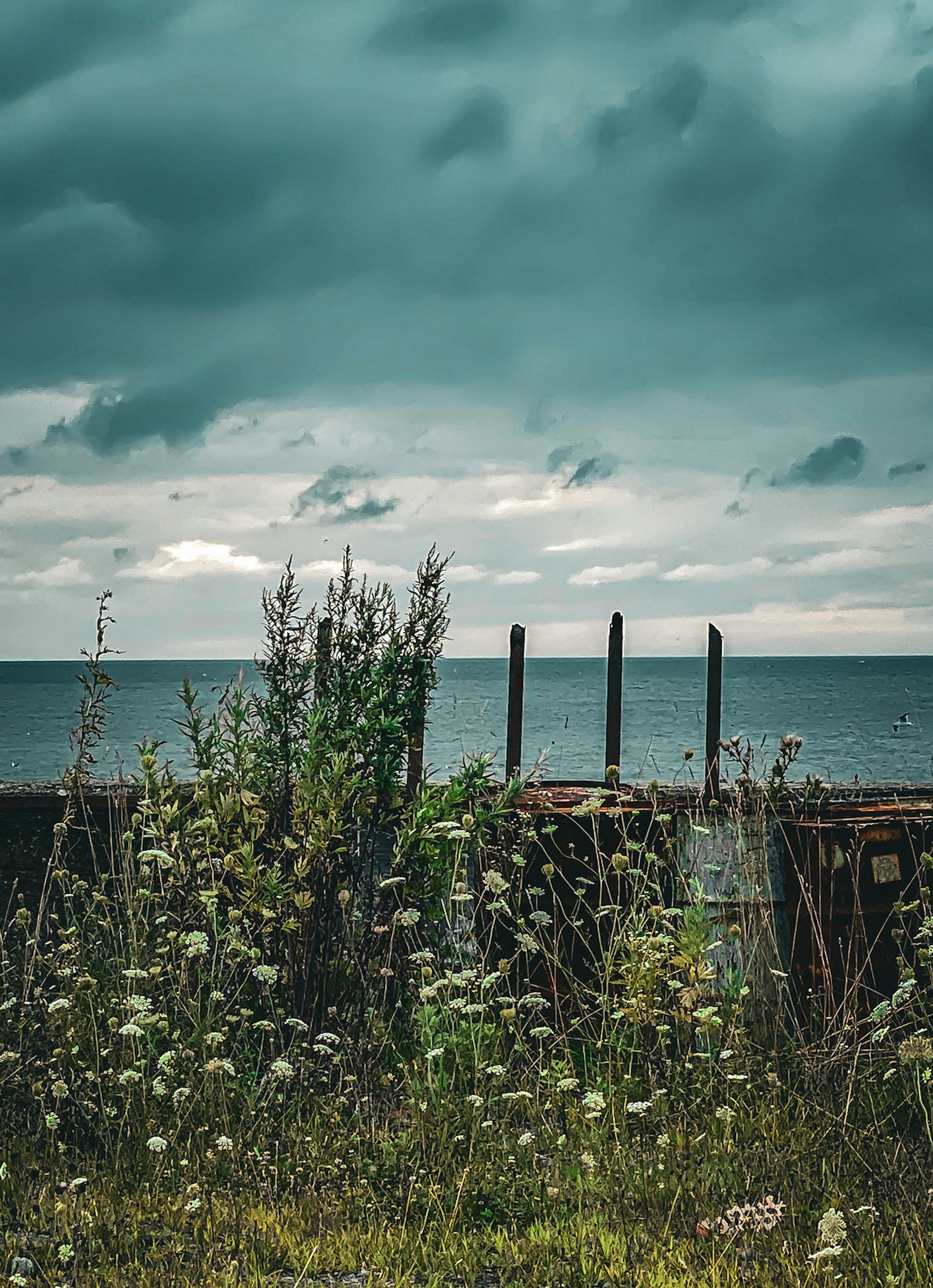 Überwucherte Küstenlandschaft mit altem Pier und Wildblumen