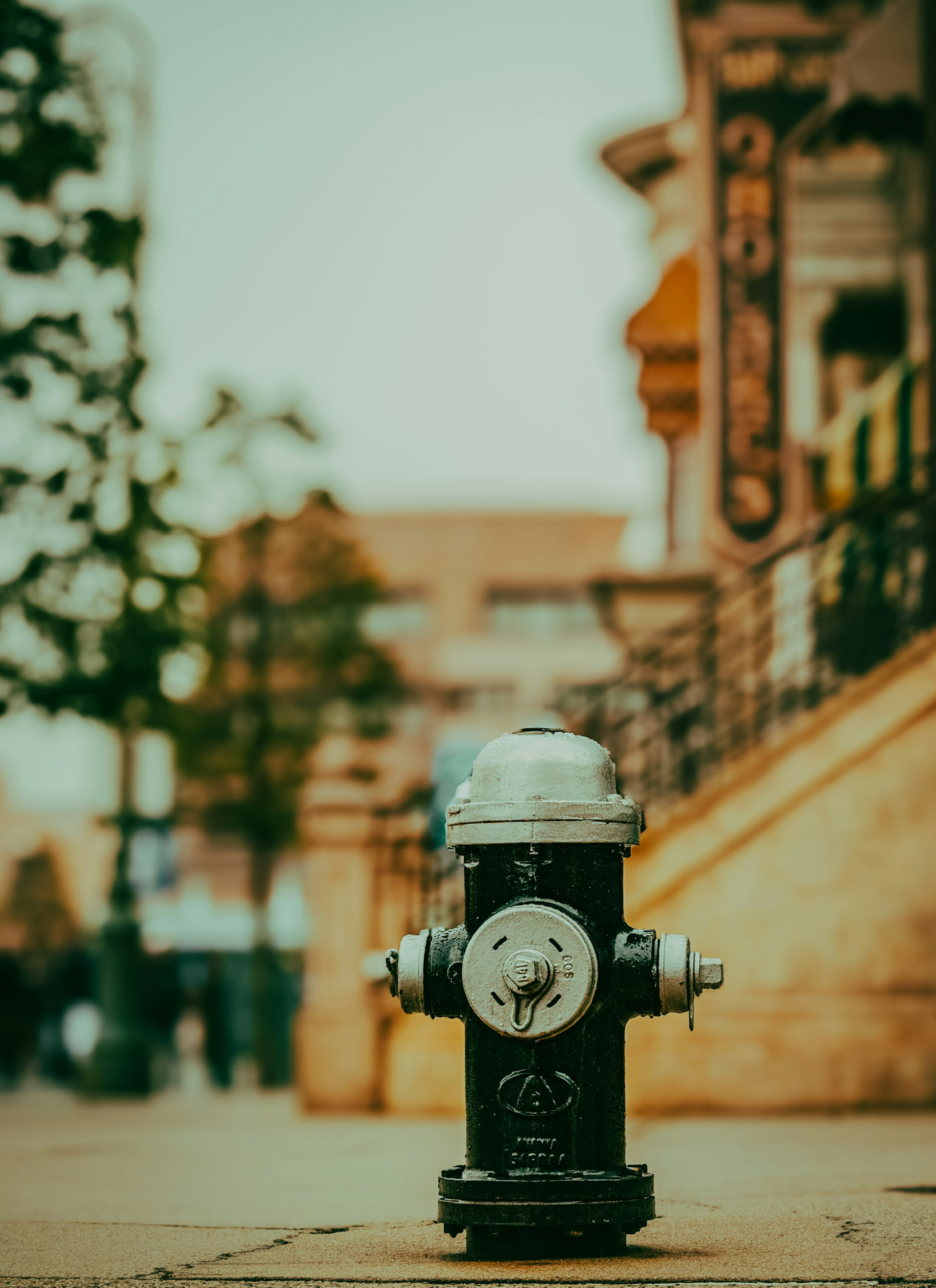 Black fire hydrant standing in an urban setting