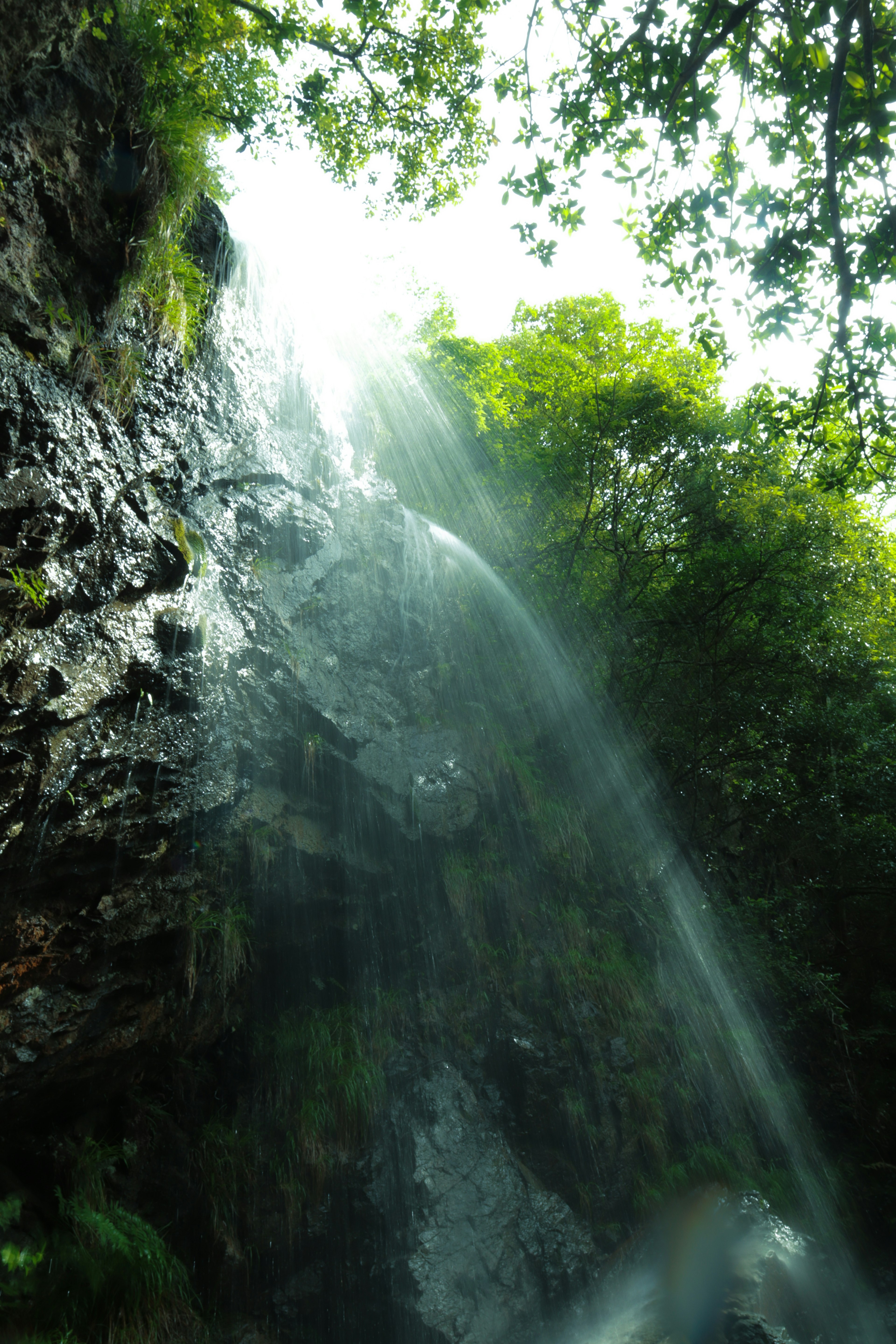 Ein Wasserfall, der über felsige Klippen fließt, umgeben von üppigem Grün