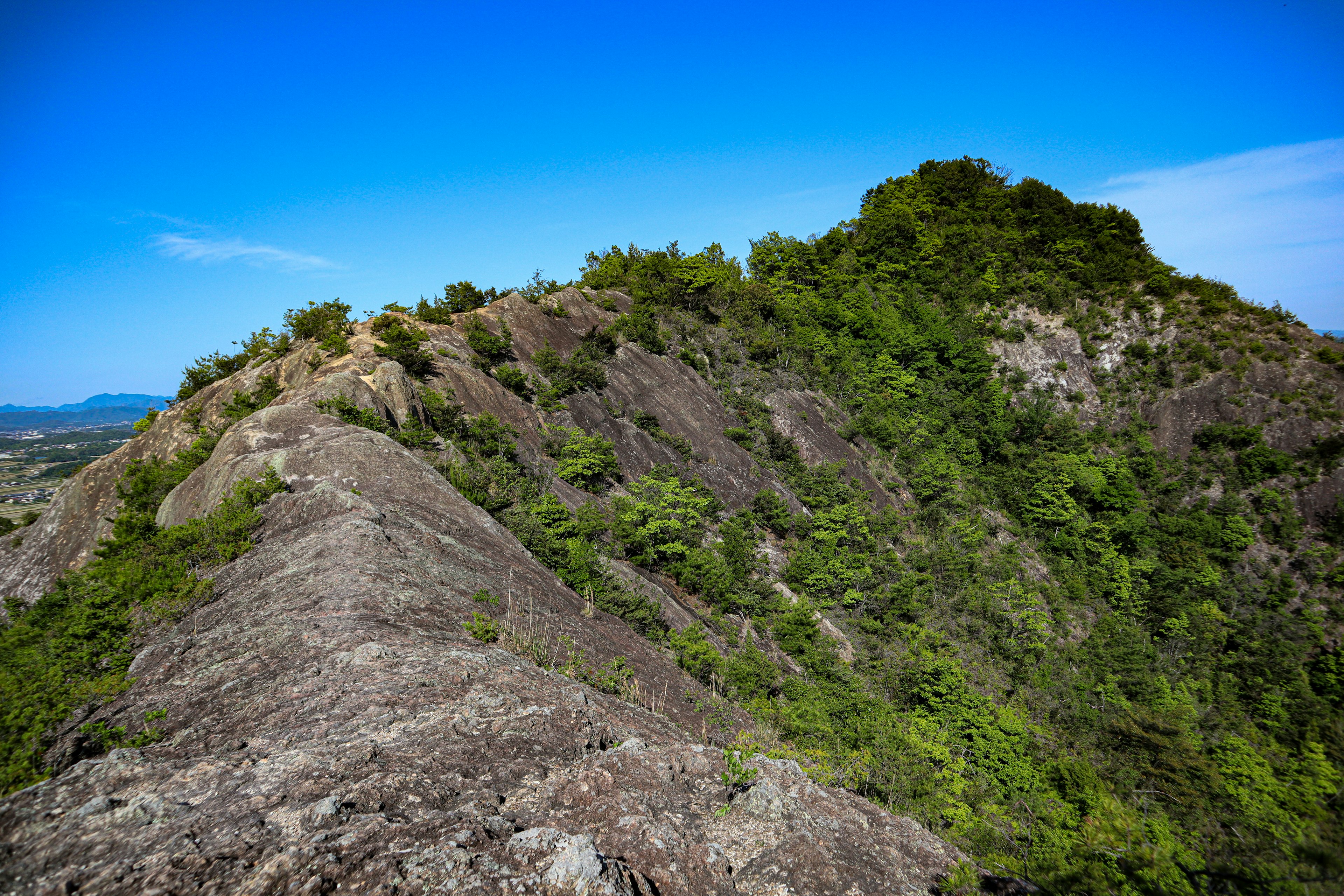 Cresta rocciosa con vegetazione rigogliosa sotto un cielo blu chiaro