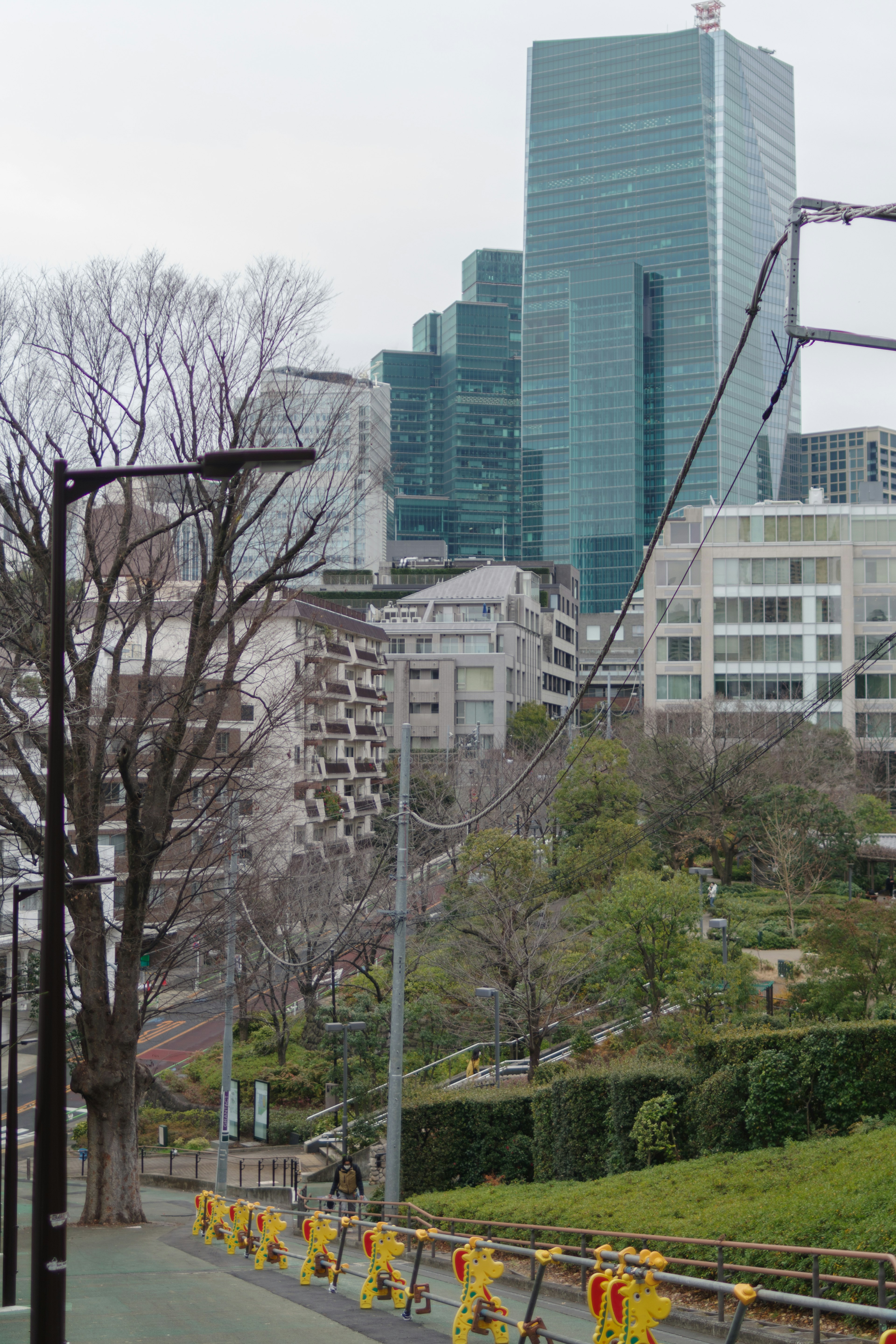 城市景觀，摩天大樓與公園區域，綠草與光禿的樹木