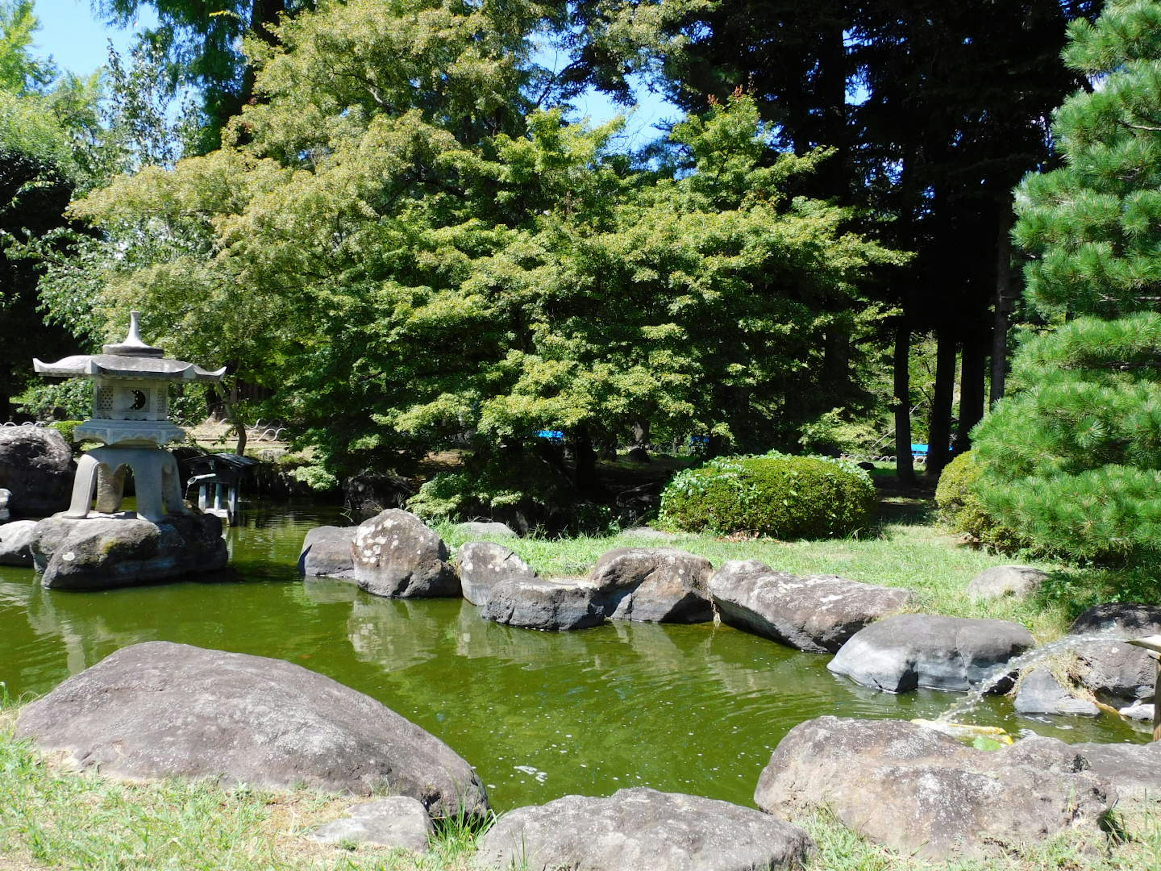 Kolam taman Jepang yang tenang dengan lentera batu dikelilingi oleh pepohonan subur