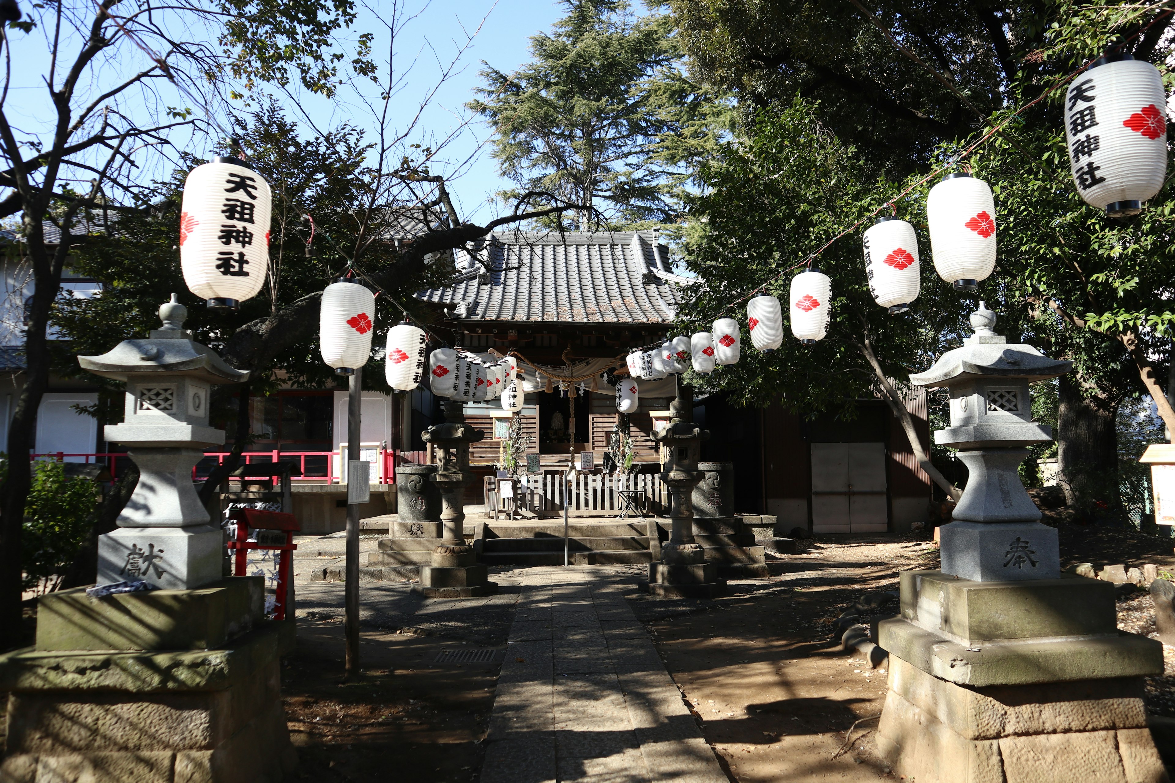 A view of a shrine courtyard adorned with stone lanterns and traditional paper lanterns