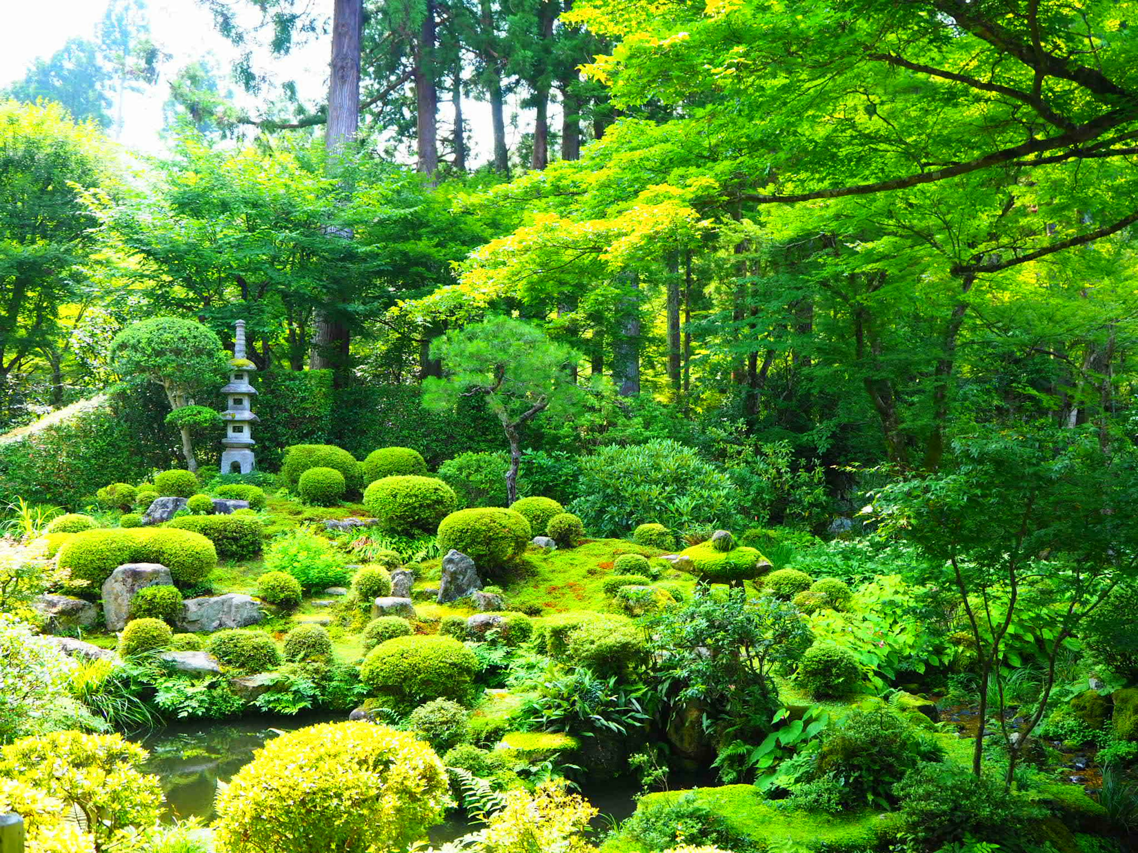 Pemandangan taman Jepang yang subur dengan lentera batu dan semak bulat