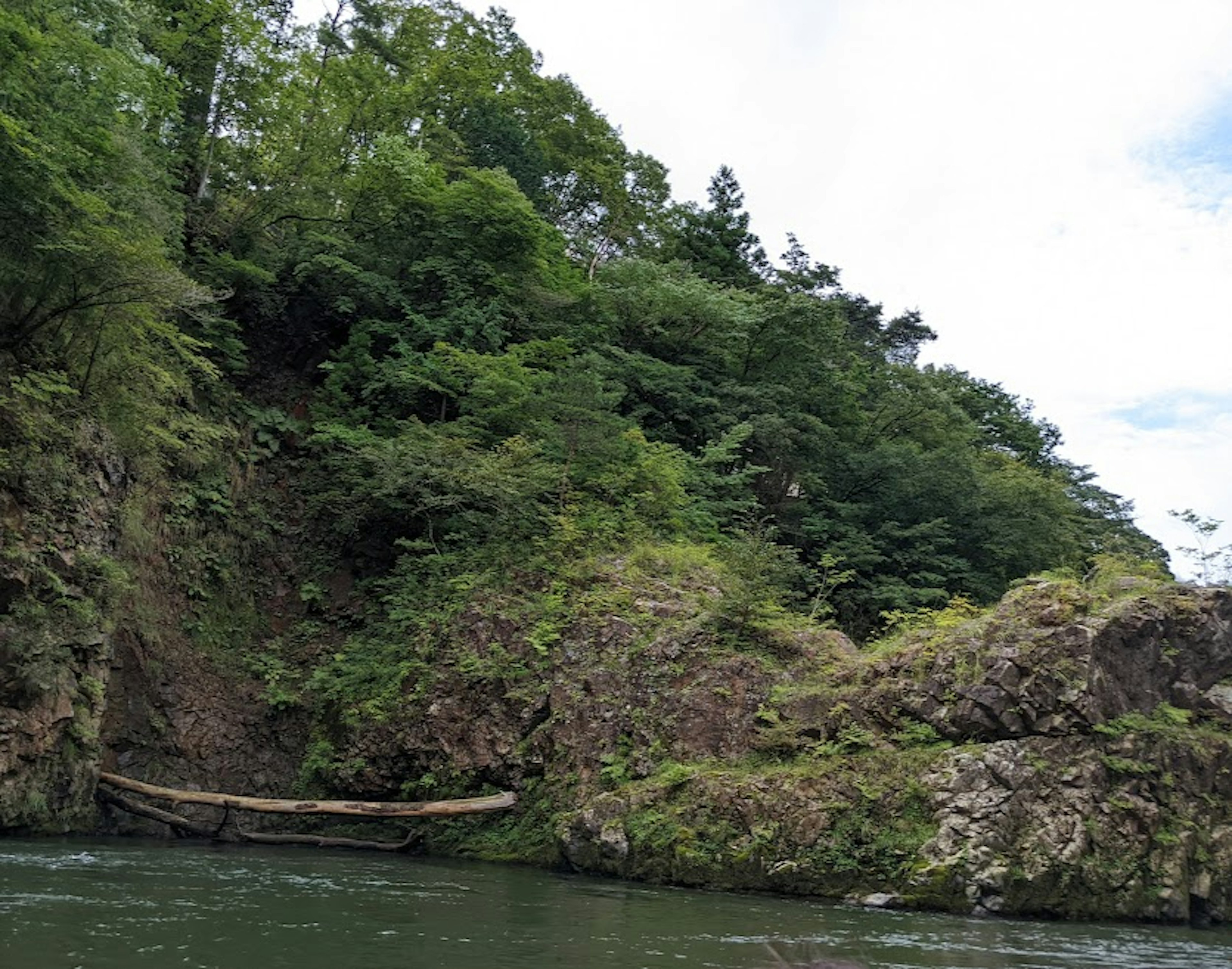 Malersicher Flussufer umgeben von üppigem Grün und einem kleinen Holzboot