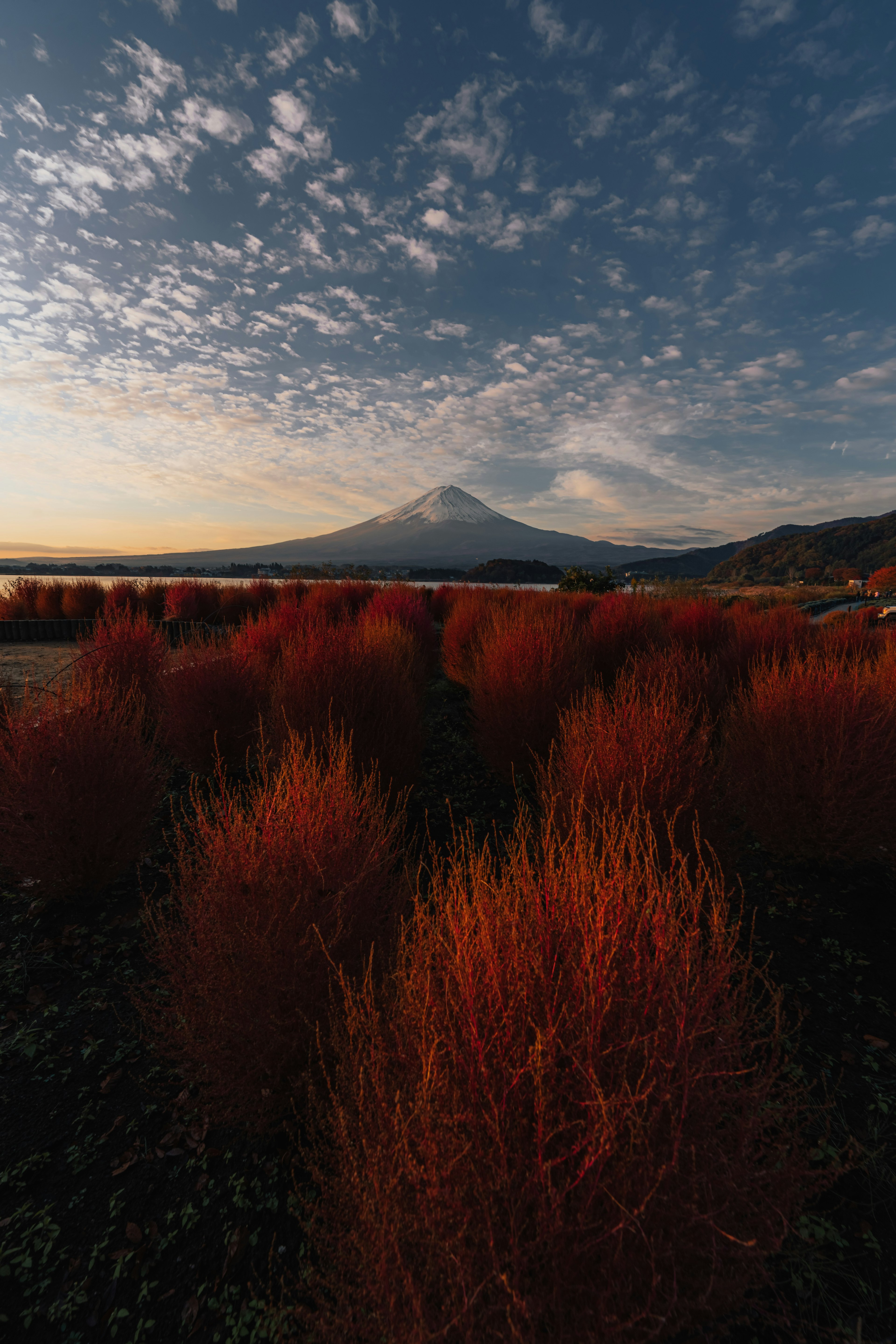 富士山を背景にした赤い草原と青い空の美しい風景