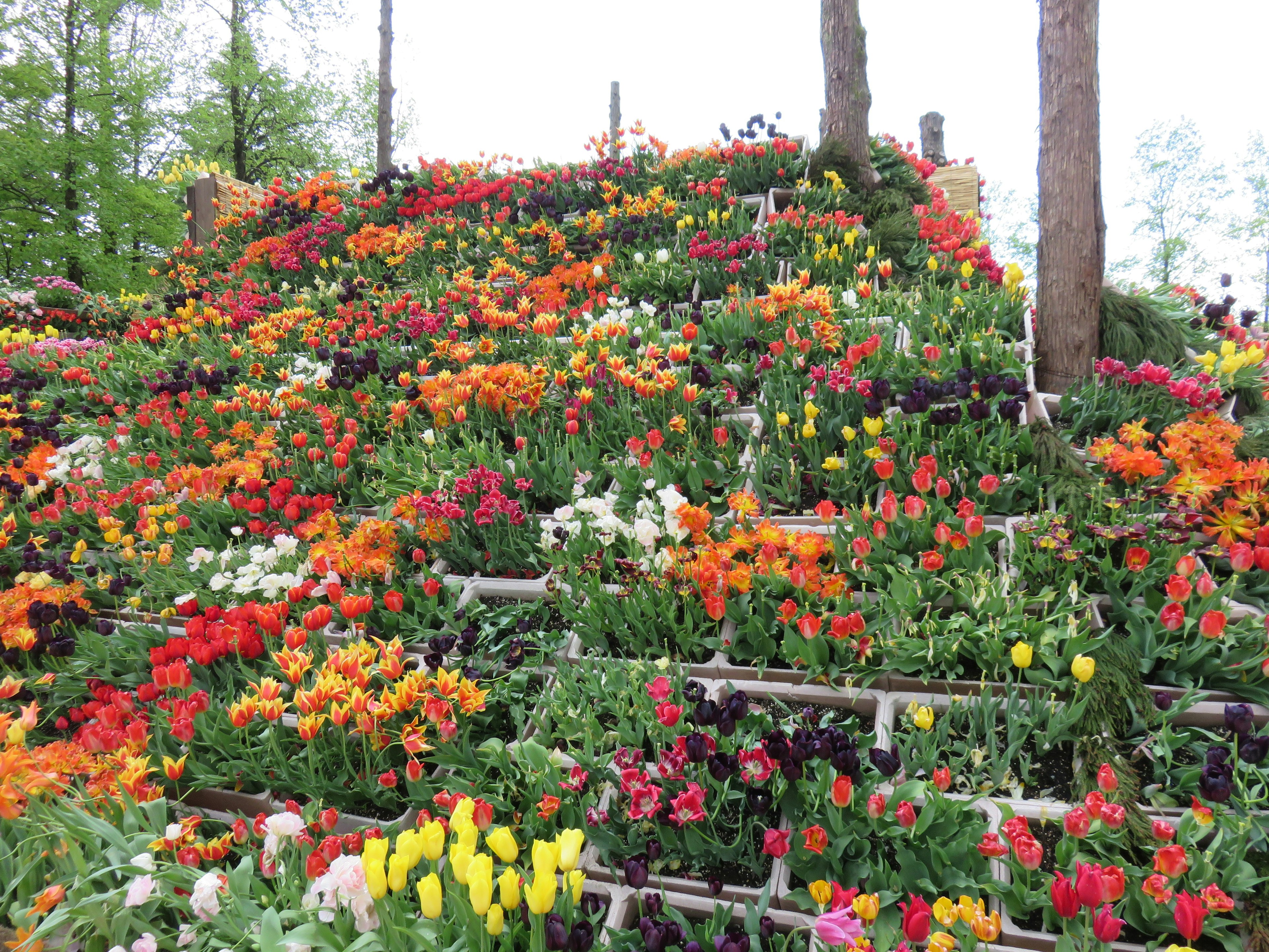 Jardín en pendiente vibrante lleno de flores coloridas en flor