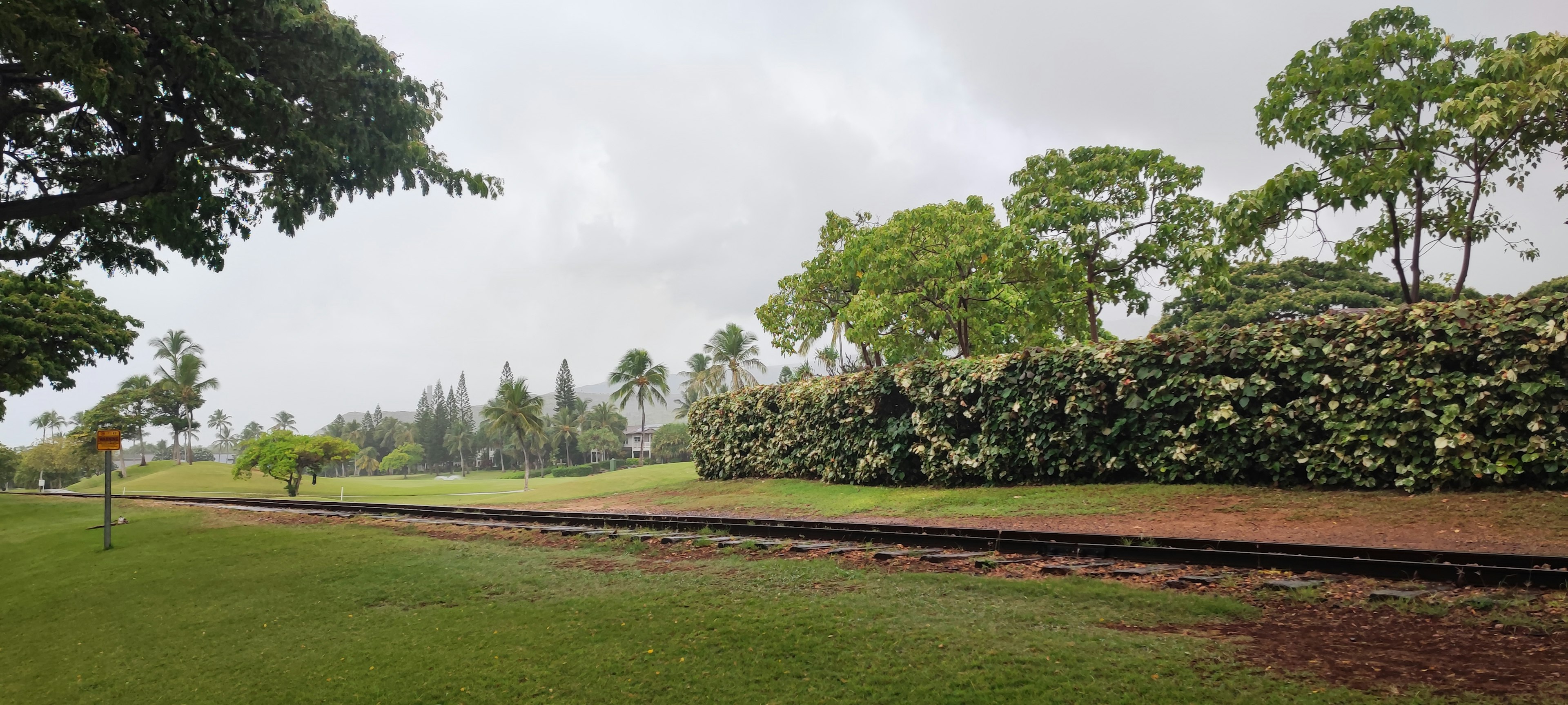 Lush green park landscape with railway tracks