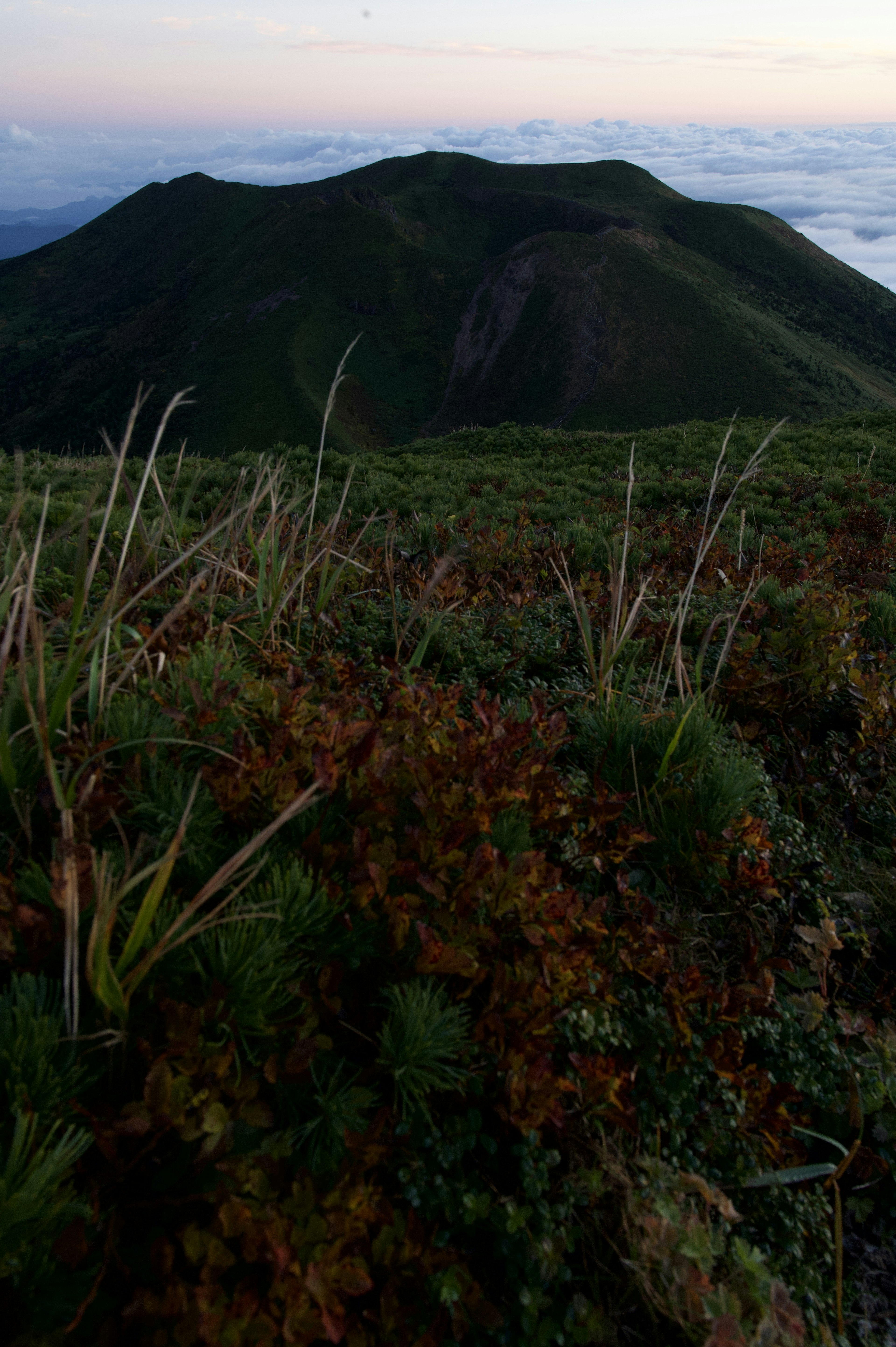 山の草原と遠くの山頂を見渡す風景