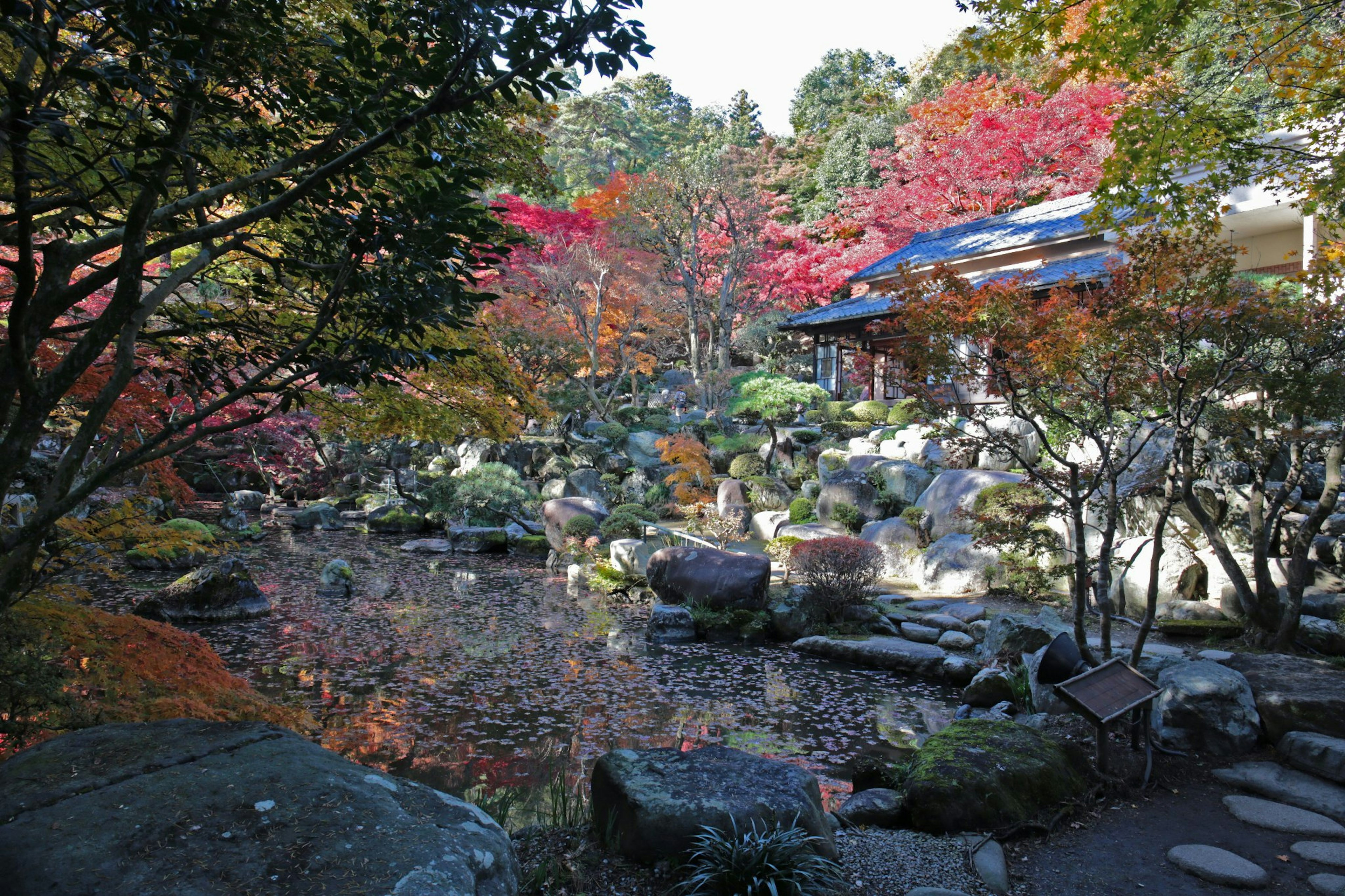 Szenenansicht eines Gartens mit Herbstlaub und einem Teich, umgeben von Felsen