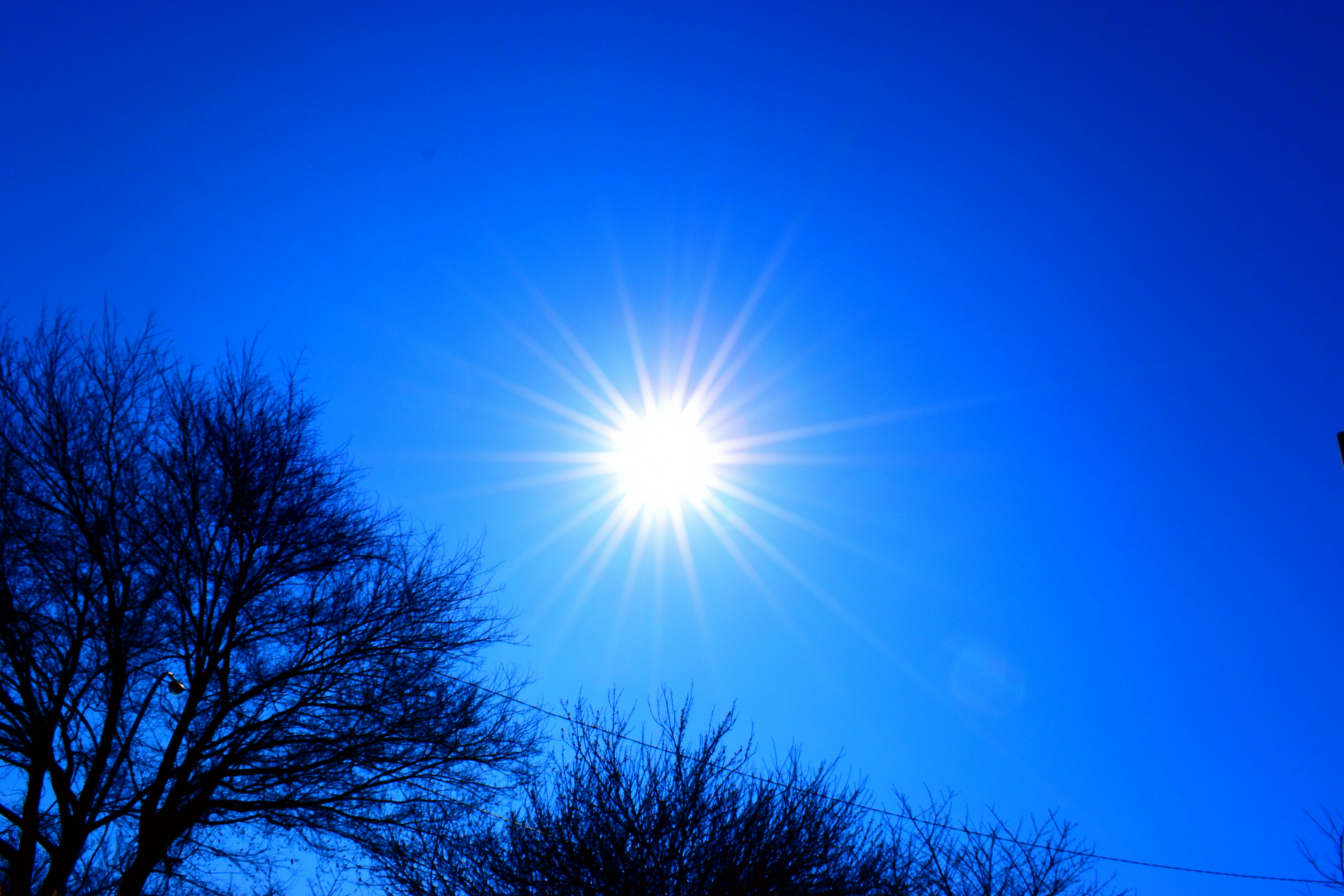 Heller Sonnenstrahl in blauem Himmel mit silhouettierten Bäumen