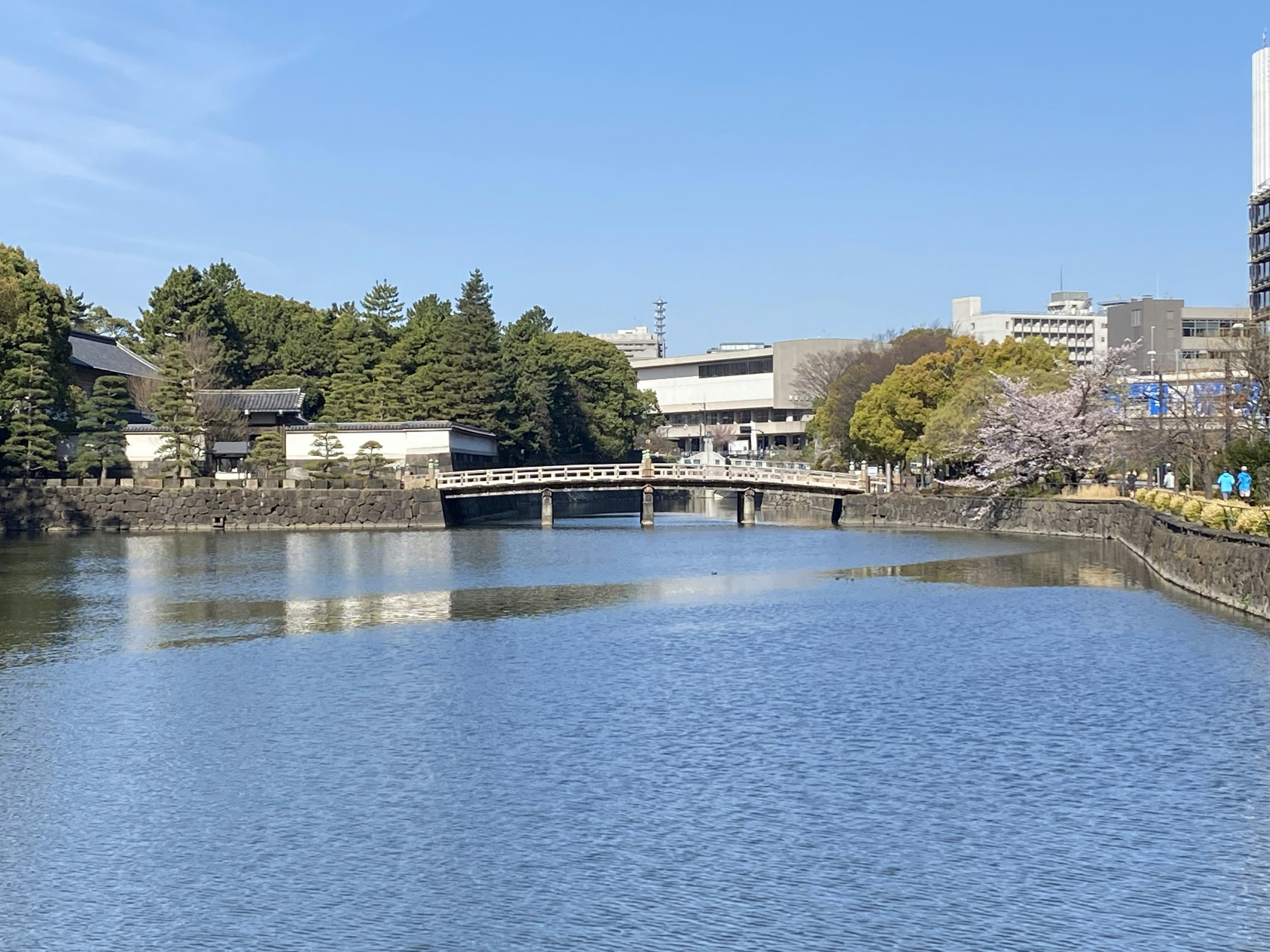 在晴朗蓝天下的宁静池塘与桥的风景