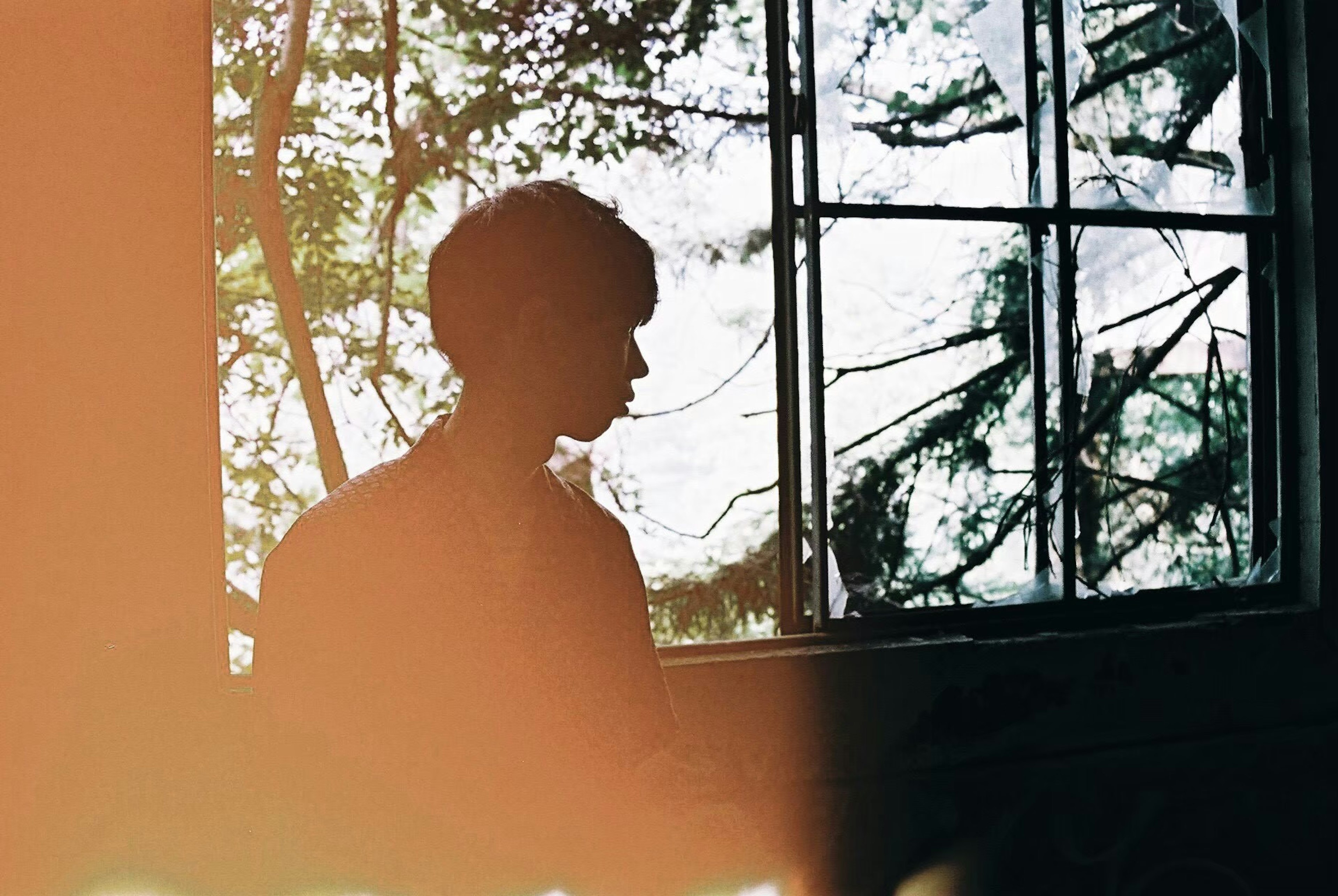 Silhouette of a young person with trees visible outside a window