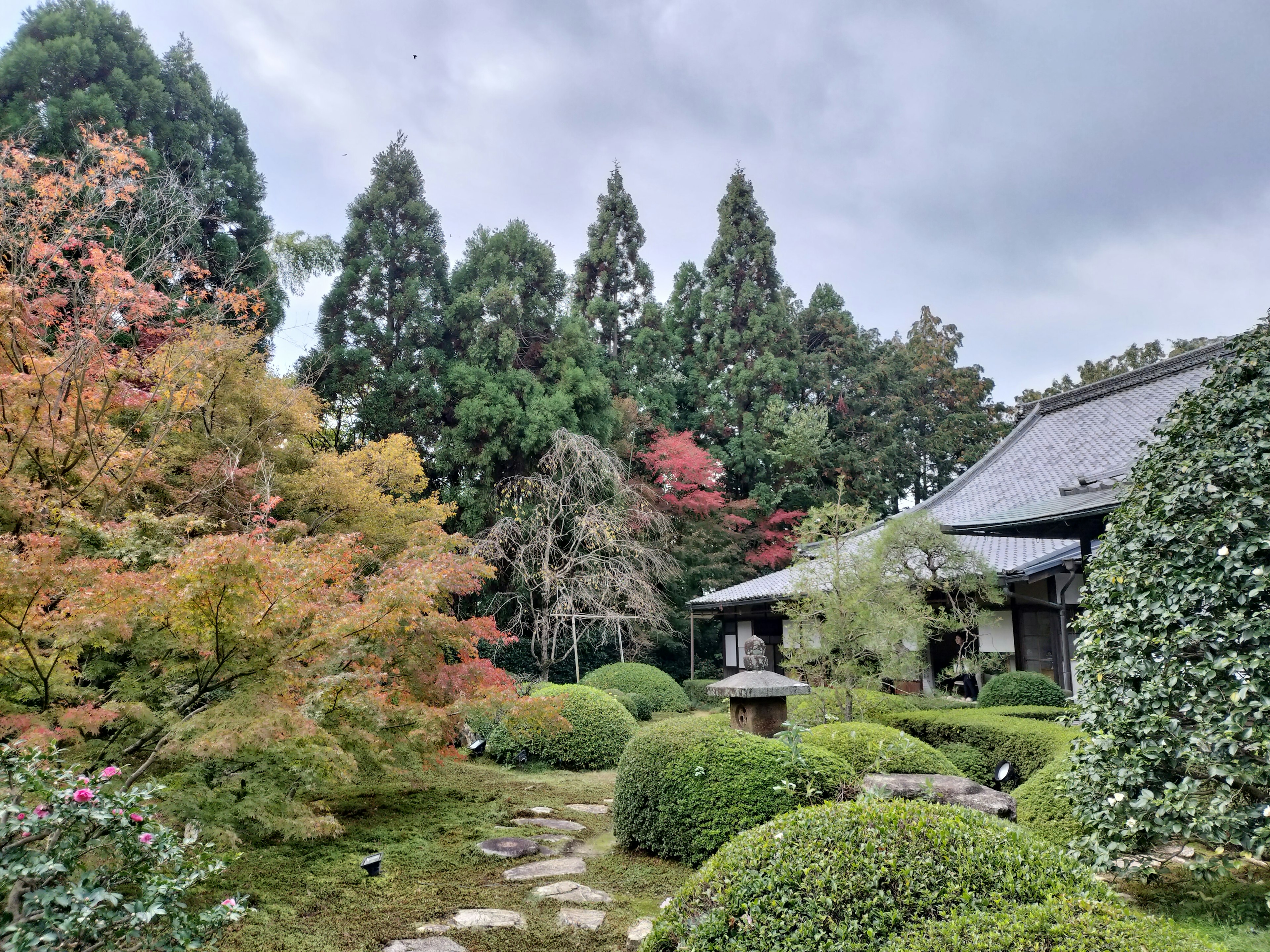 Pemandangan taman Jepang yang indah dengan pepohonan hijau dan daun musim gugur jalan batu dan bagian dari rumah teh