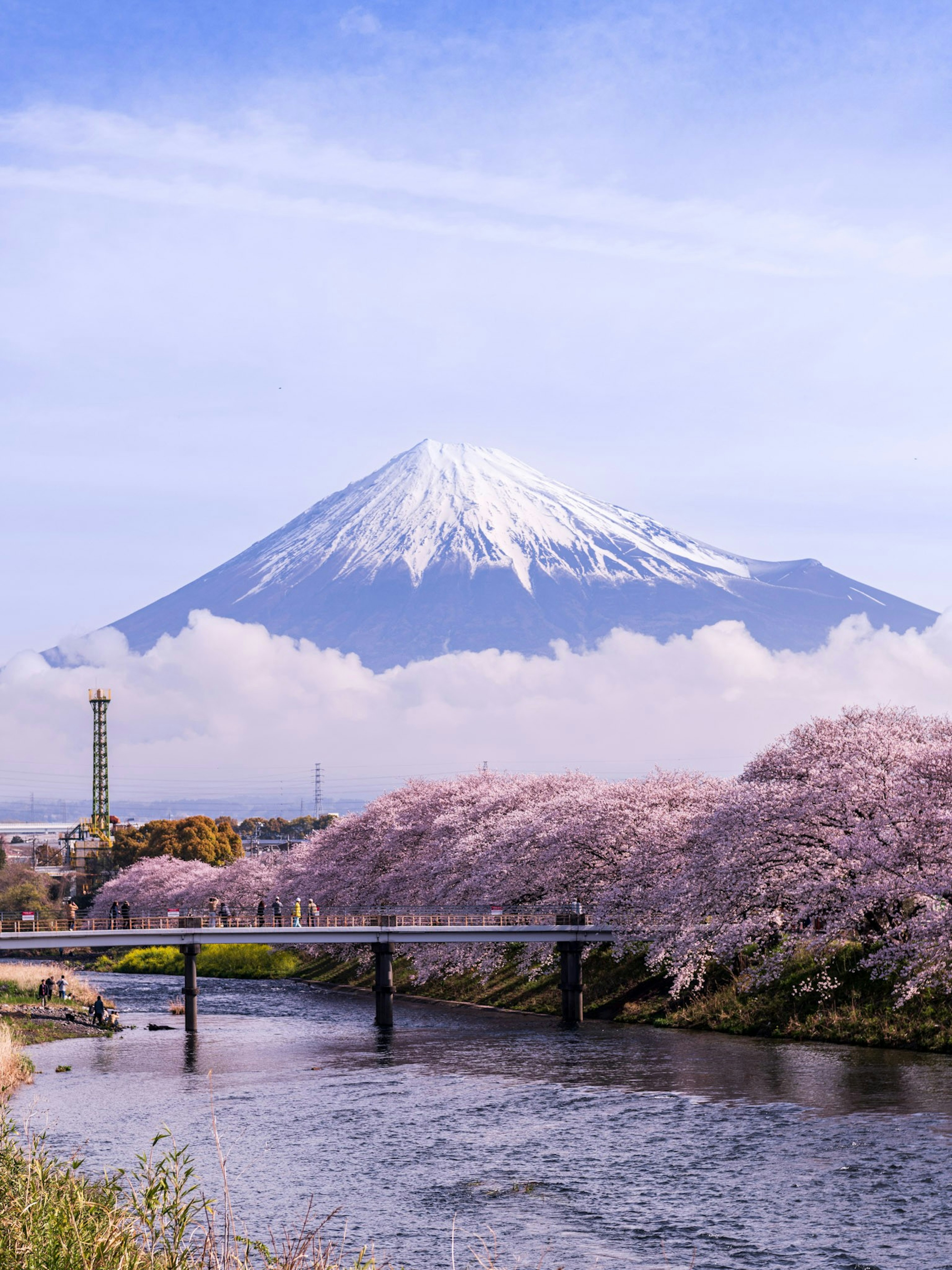 富士山と桜の風景美しい川の景色