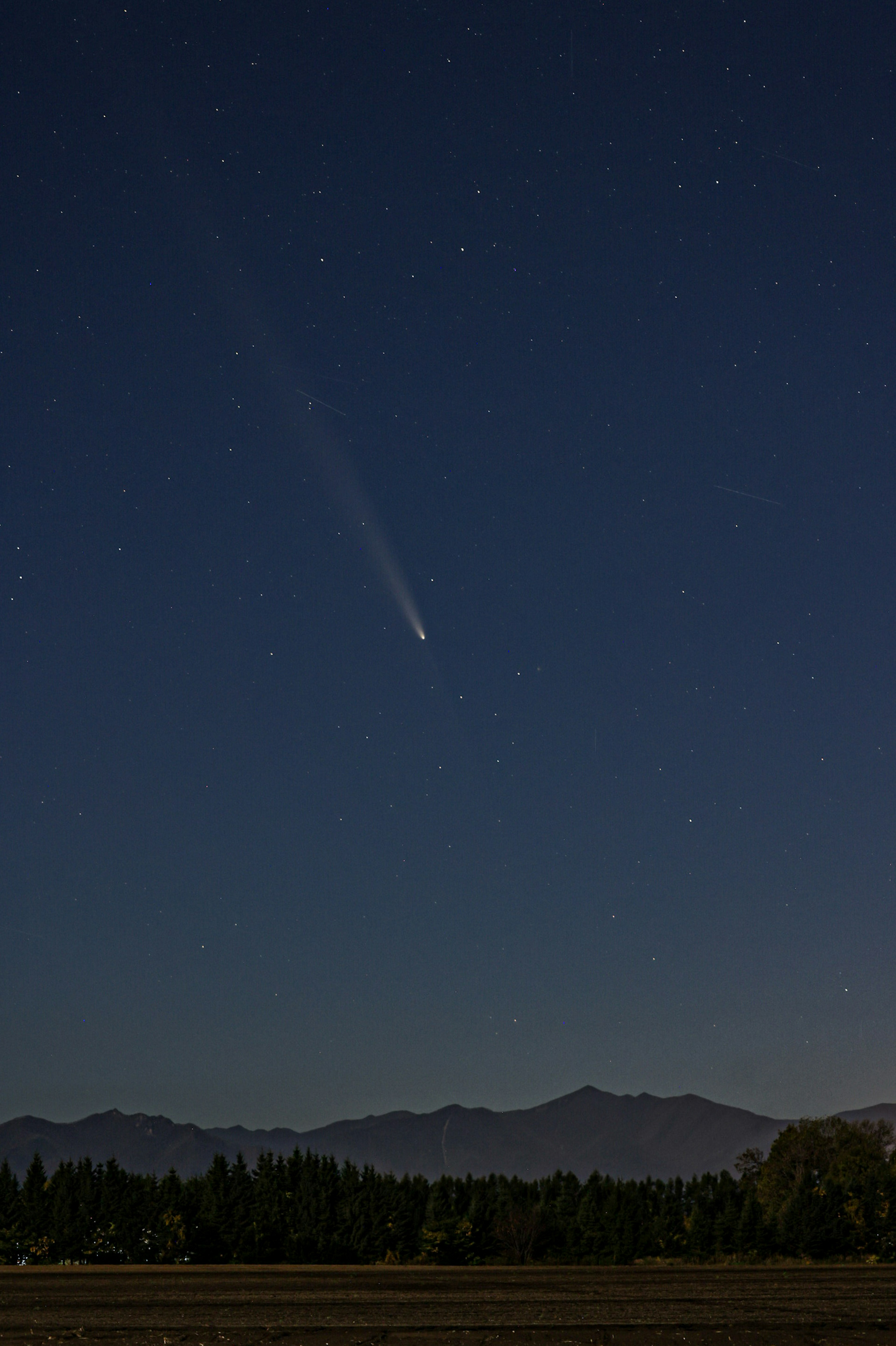 A stunning view of a comet in the night sky with stars