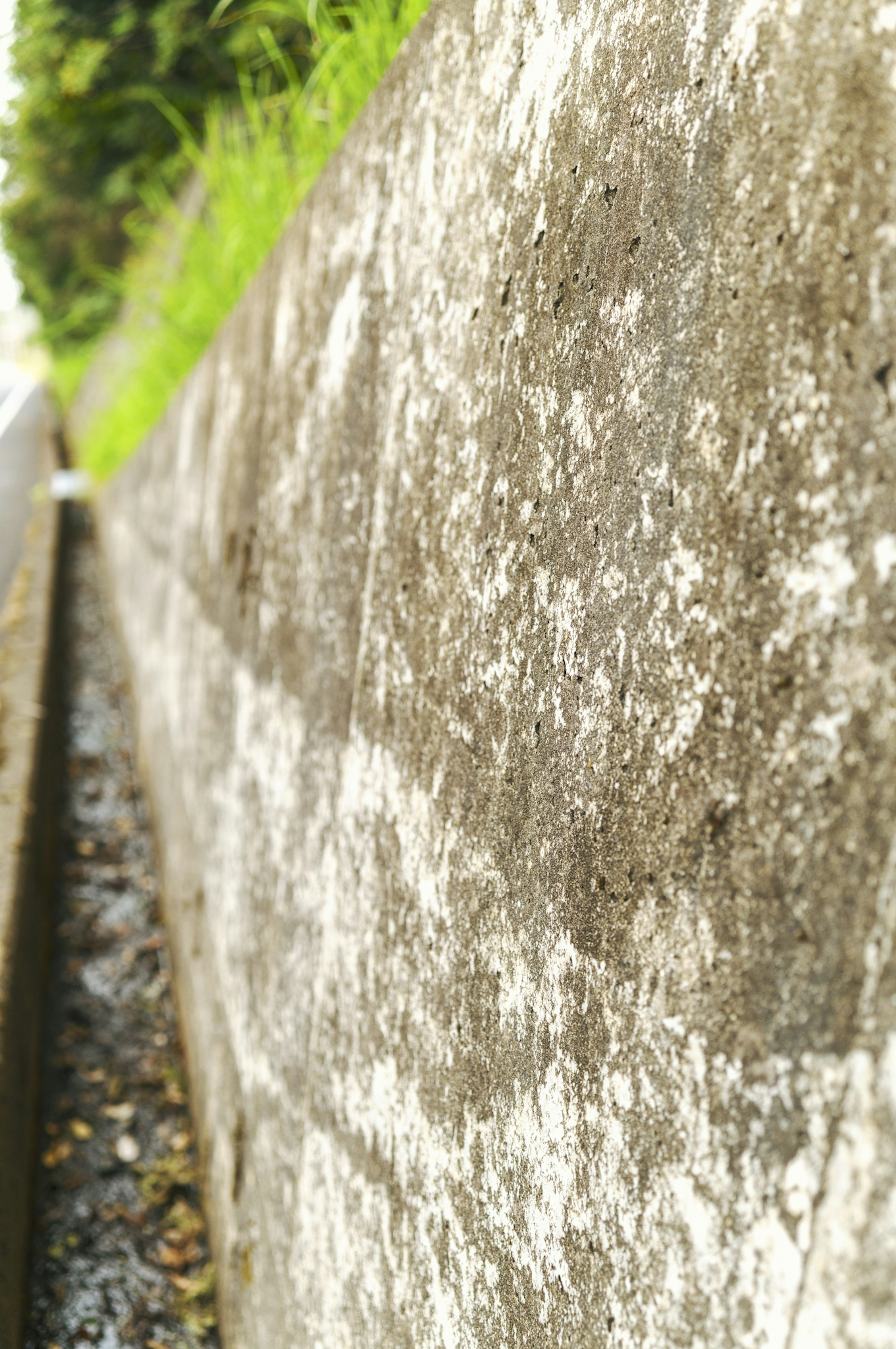 Primer plano de una pared de concreto con hierba verde al lado