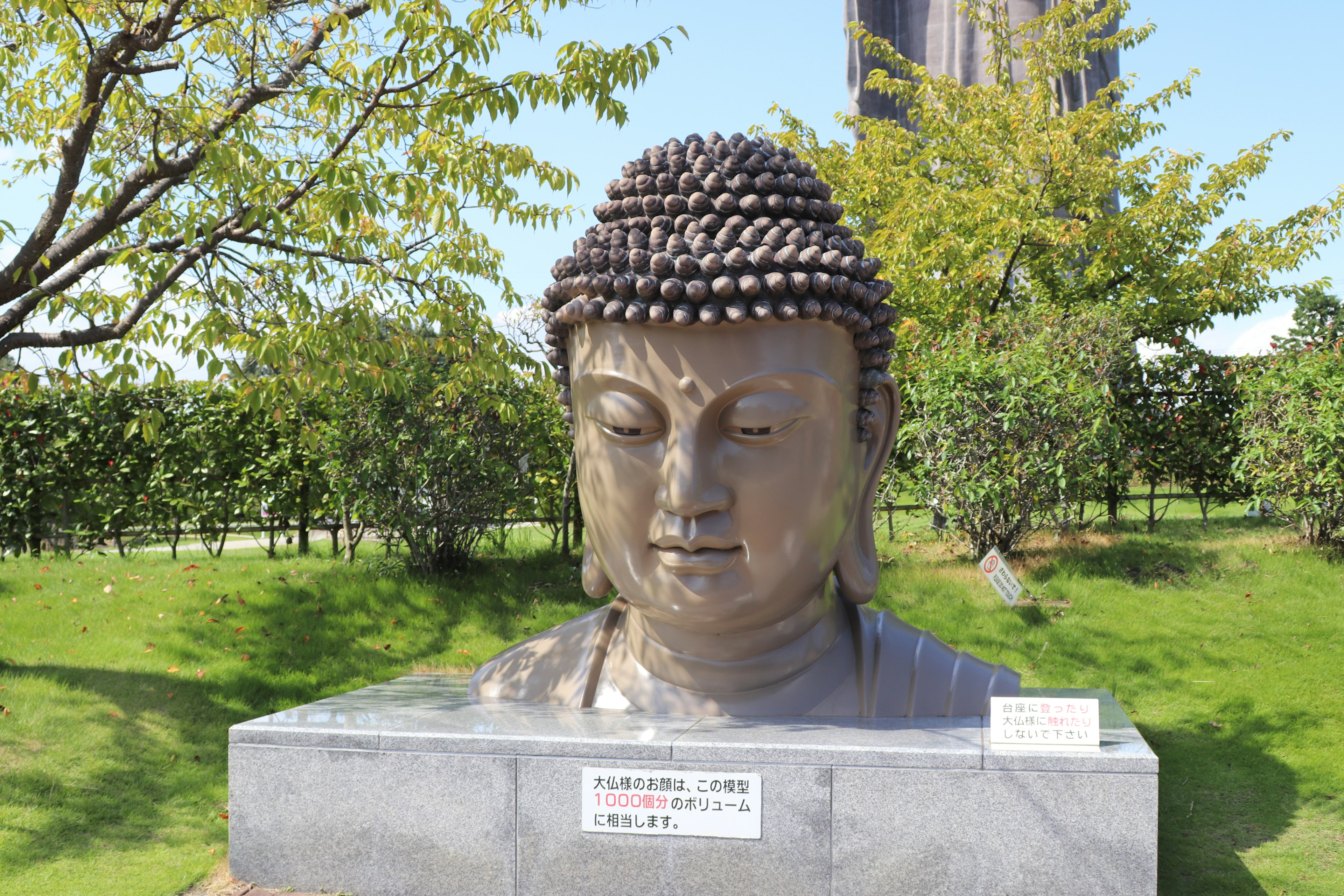 Bronze Buddha head sculpture on green grass with trees in the background