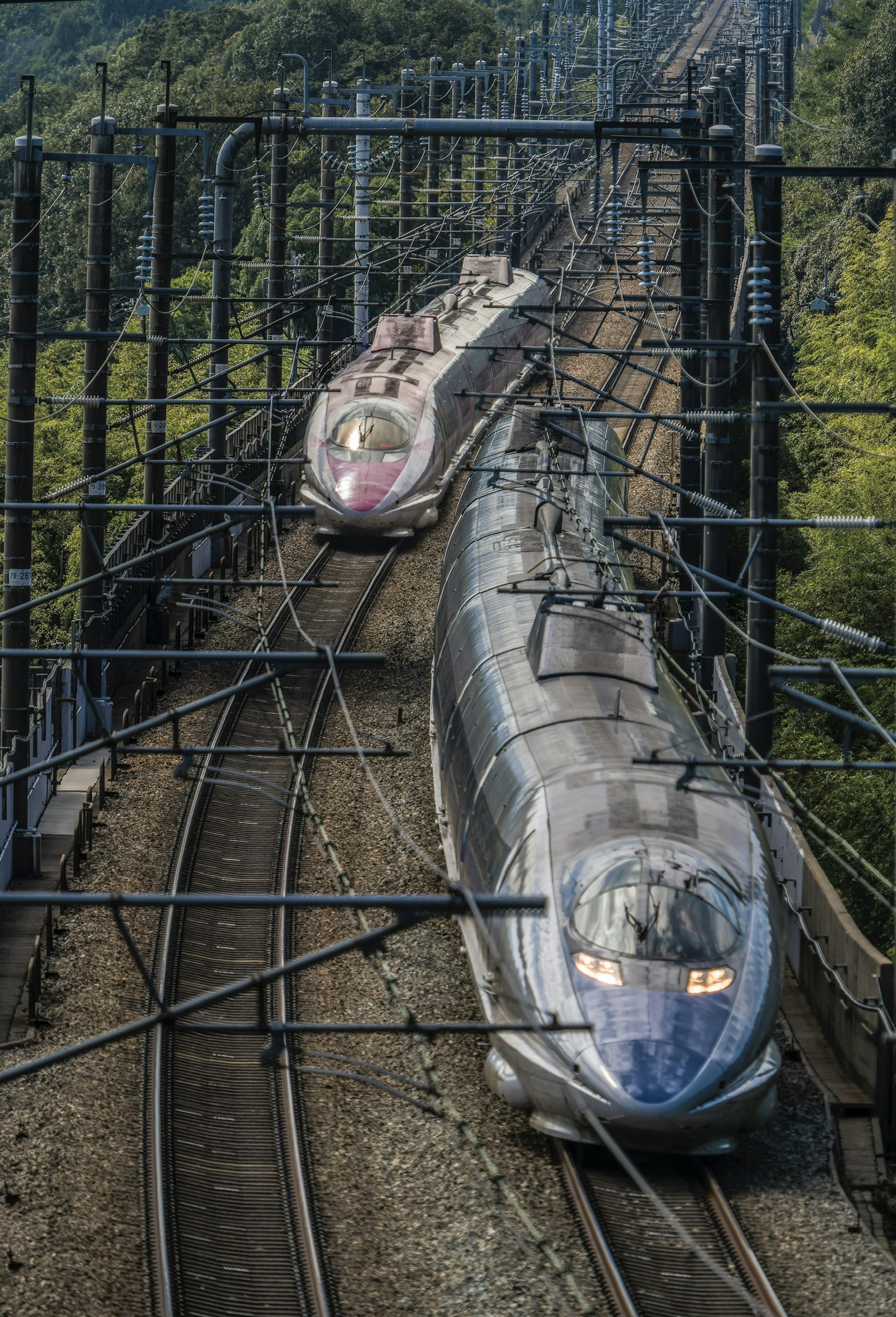 Two Shinkansen trains on parallel tracks surrounded by greenery