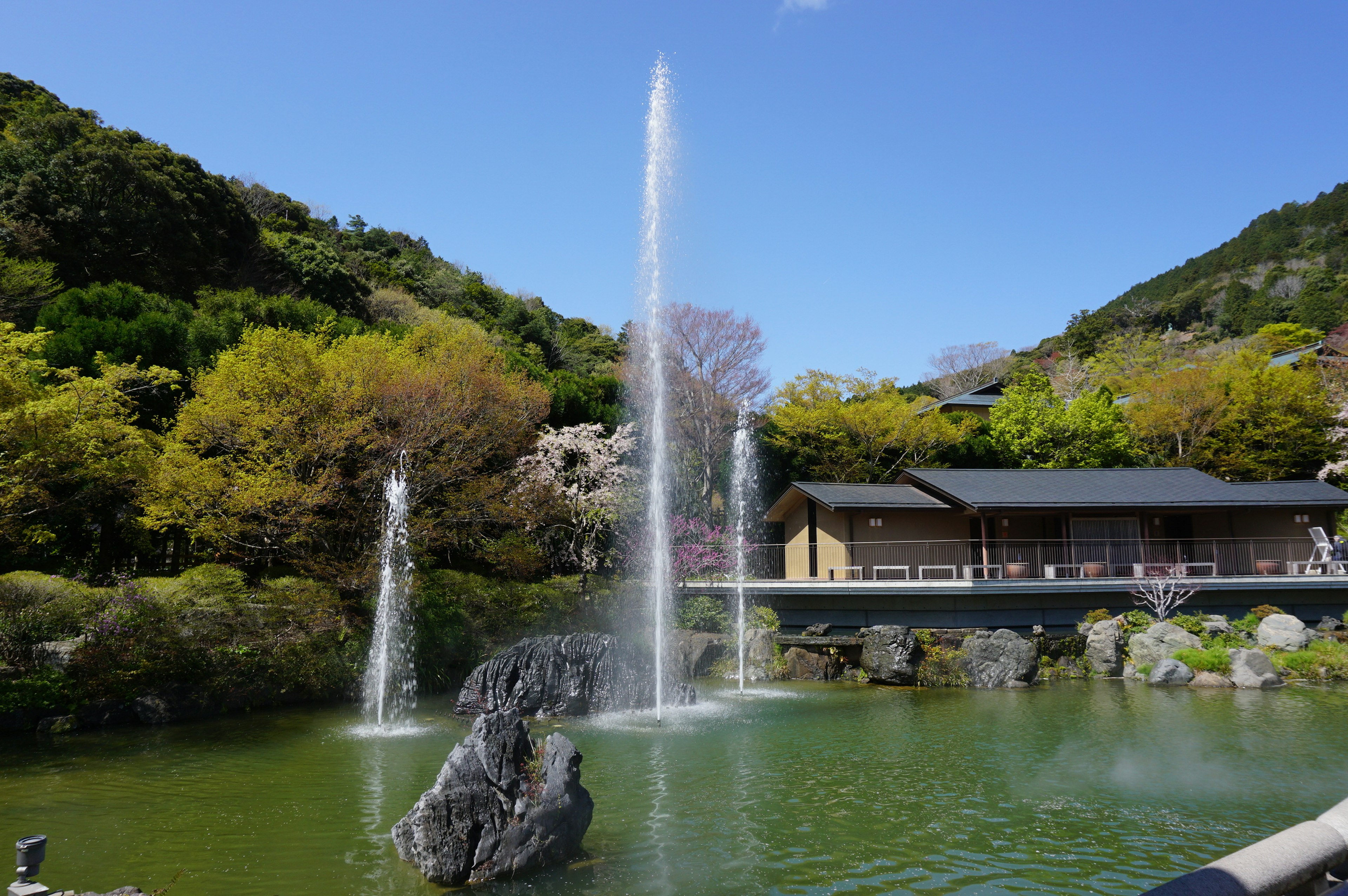 Beautiful Japanese garden with fountains and lush greenery surrounding a building